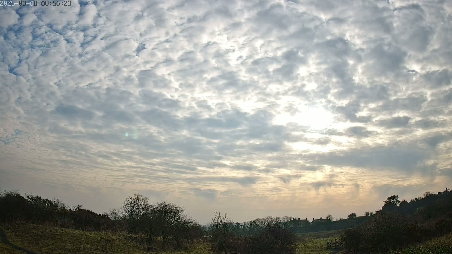 A mostly cloudy sky with the sun barely visible behind thin clouds above a flat landscape of sparsely wooded fields.