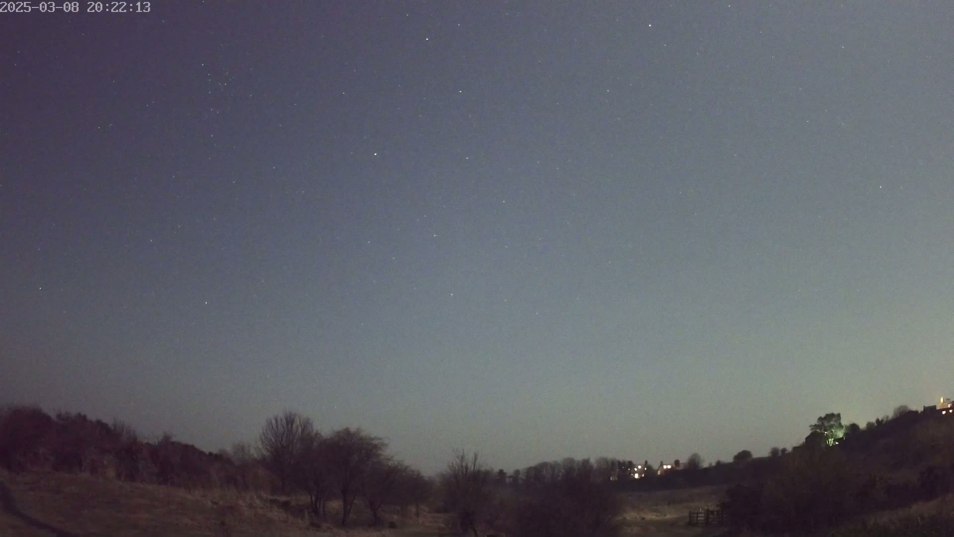 Under a clear, starry night sky, a landscape of dark, leafless trees and a hill with a few distant lights is visible.