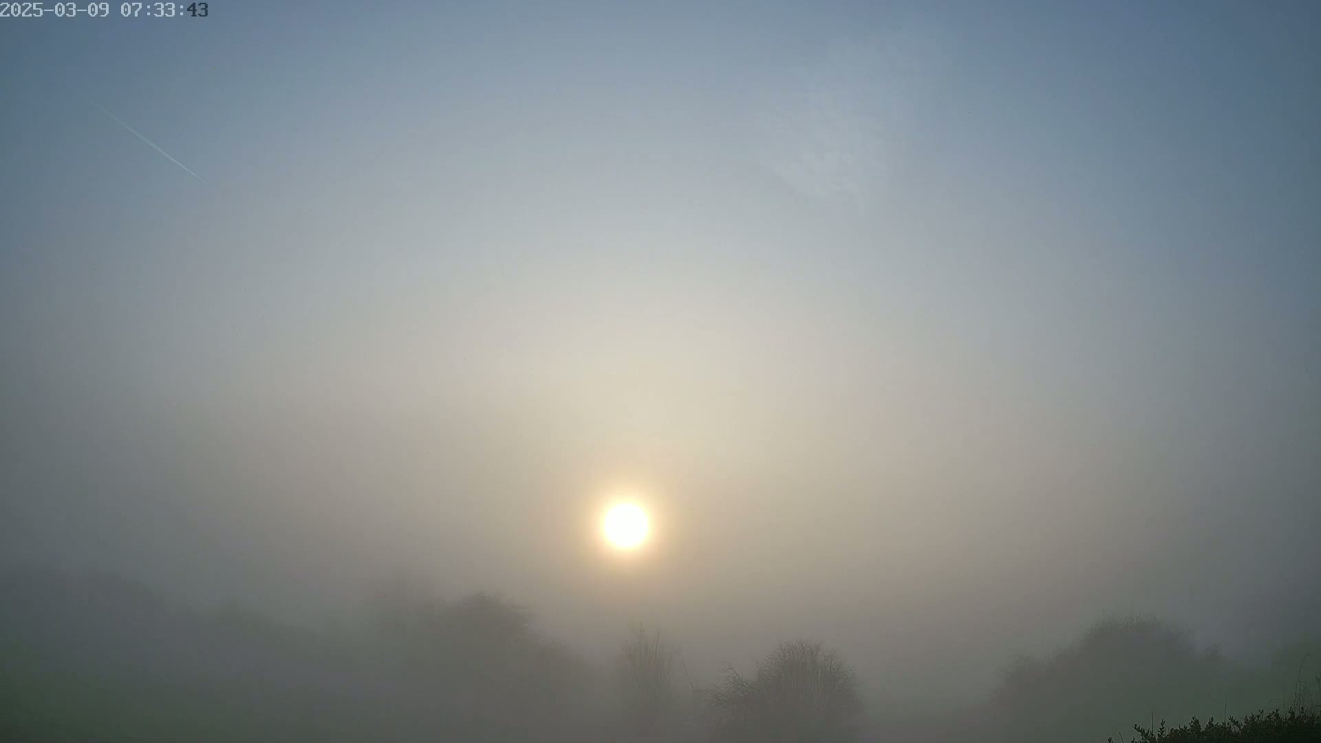 The sun shines through a thick fog obscuring a landscape of trees and low-lying vegetation.