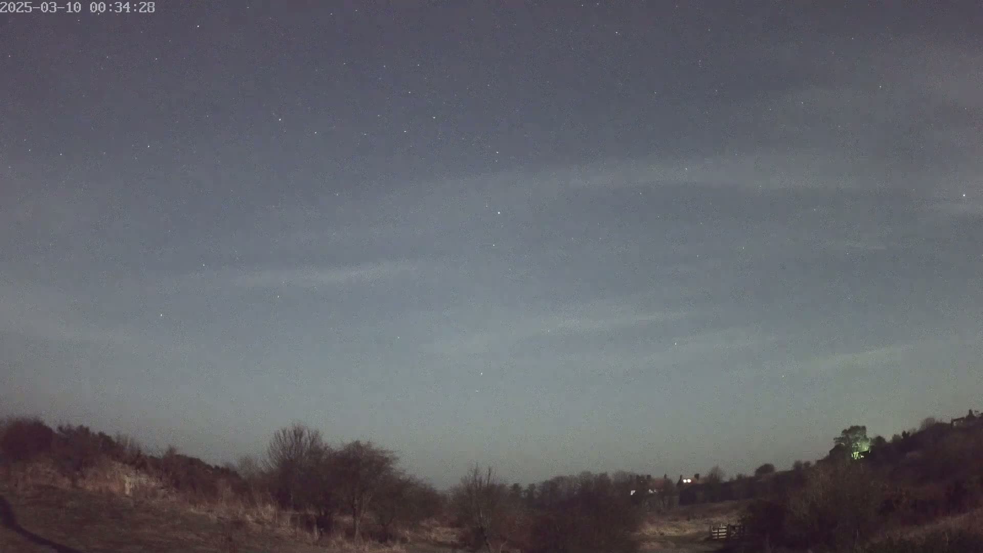 A night sky dotted with stars above a mostly barren, low-lying landscape of shrubs and trees under a clear, slightly hazy sky.