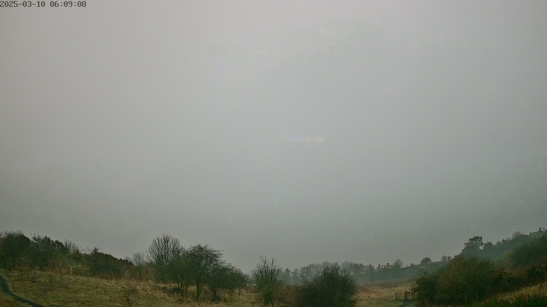 A foggy landscape shows a field with sparse, leafless trees and shrubs, and a distant line of buildings barely visible in the hazy air.