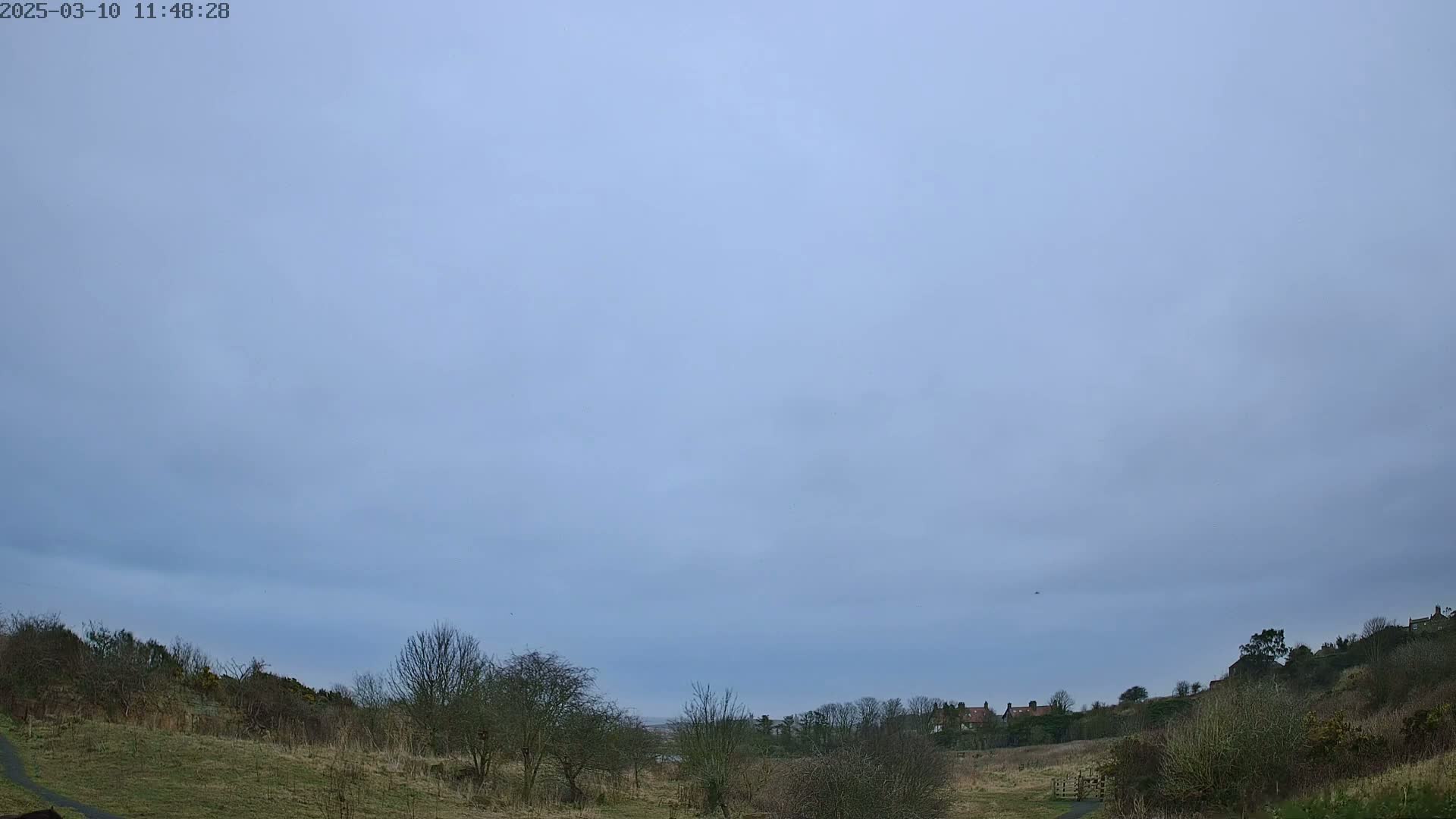 A mostly cloudy sky overlooks a flat, grassy field with bare winter trees and a few distant houses on a hill.