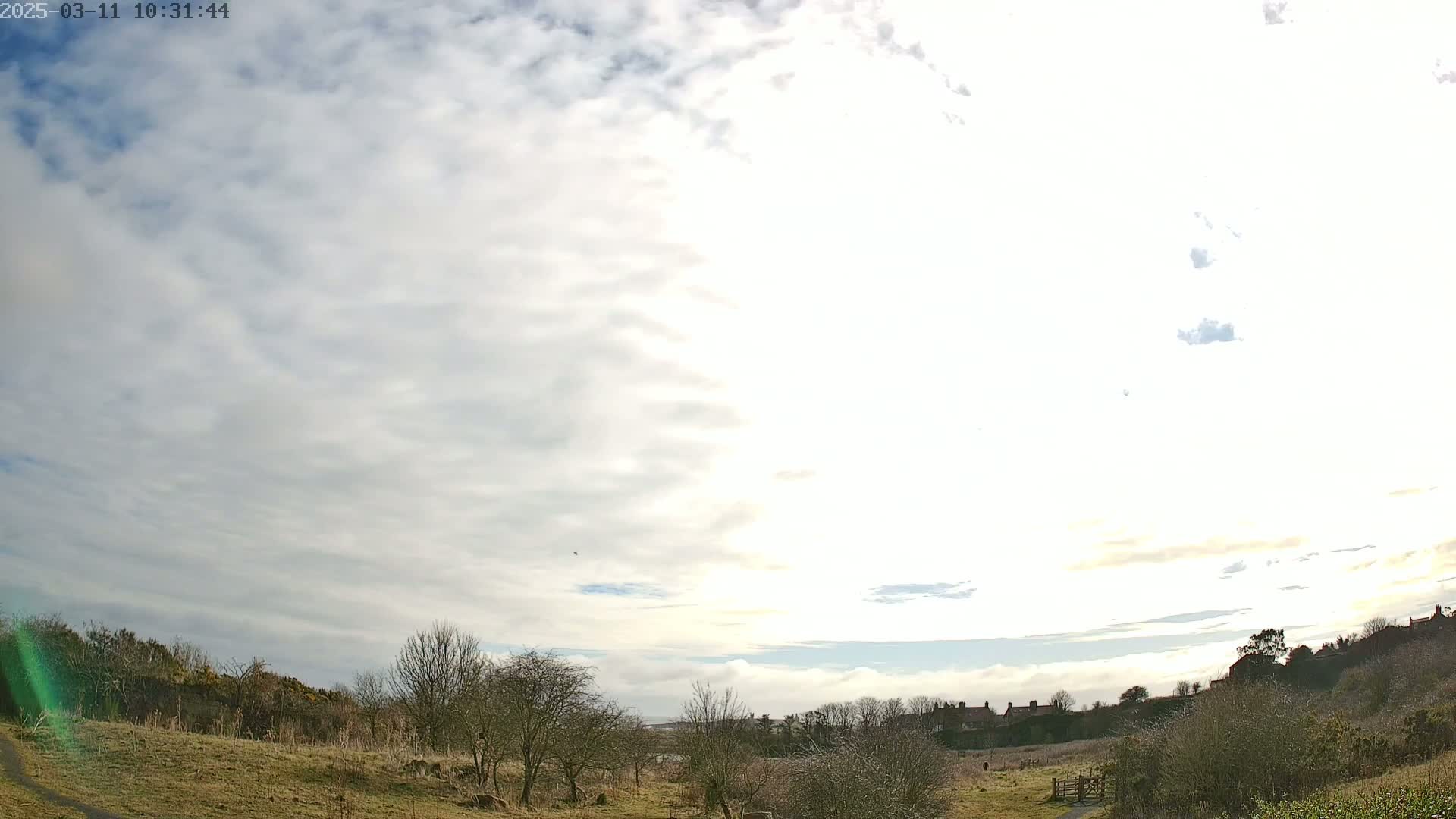 A mostly cloudy sky brightens over a sparsely vegetated field with bare trees and distant buildings.
