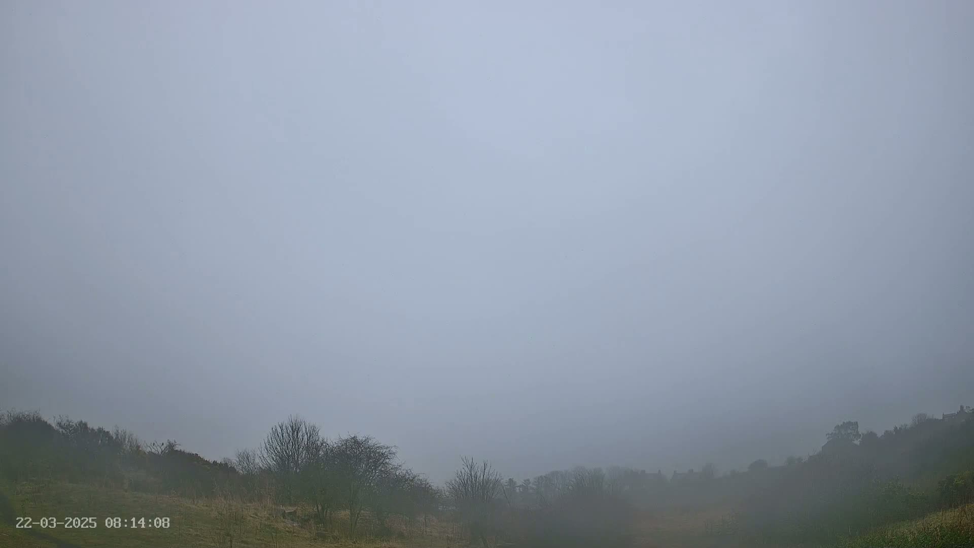A foggy landscape shows a low hill covered in sparse, dark trees and brush.