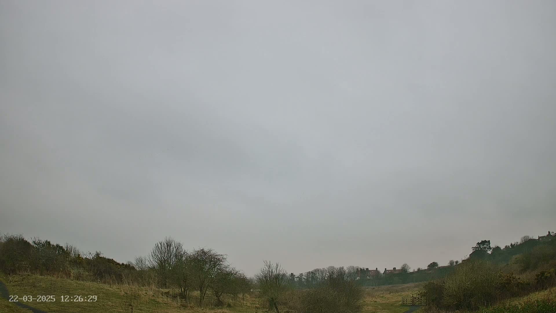 A gray, overcast sky hangs over a mostly barren, grassy landscape with sparse, leafless trees and a few houses visible in the distance on a hillside.