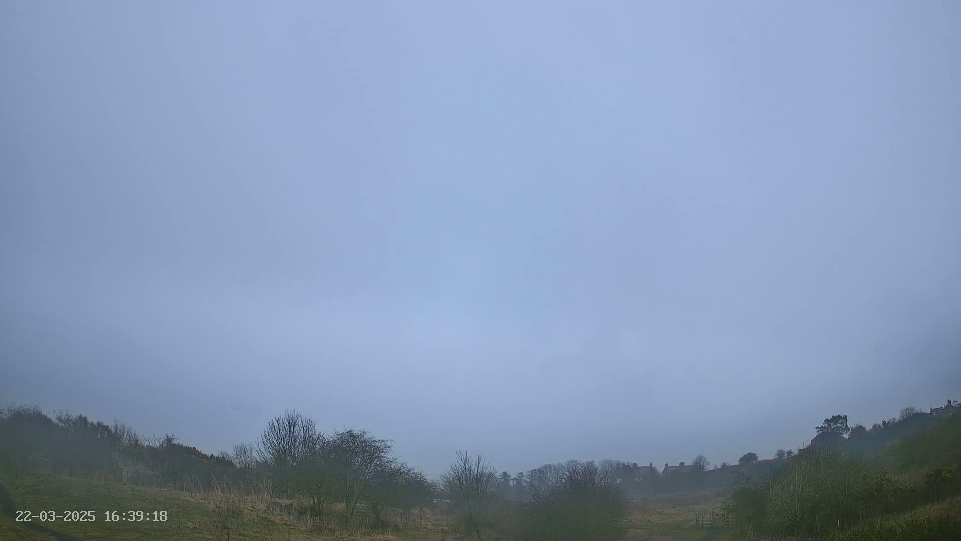 A hazy, light-grey sky hangs over a low-lying landscape of bare trees and distant buildings partially obscured by fog.
