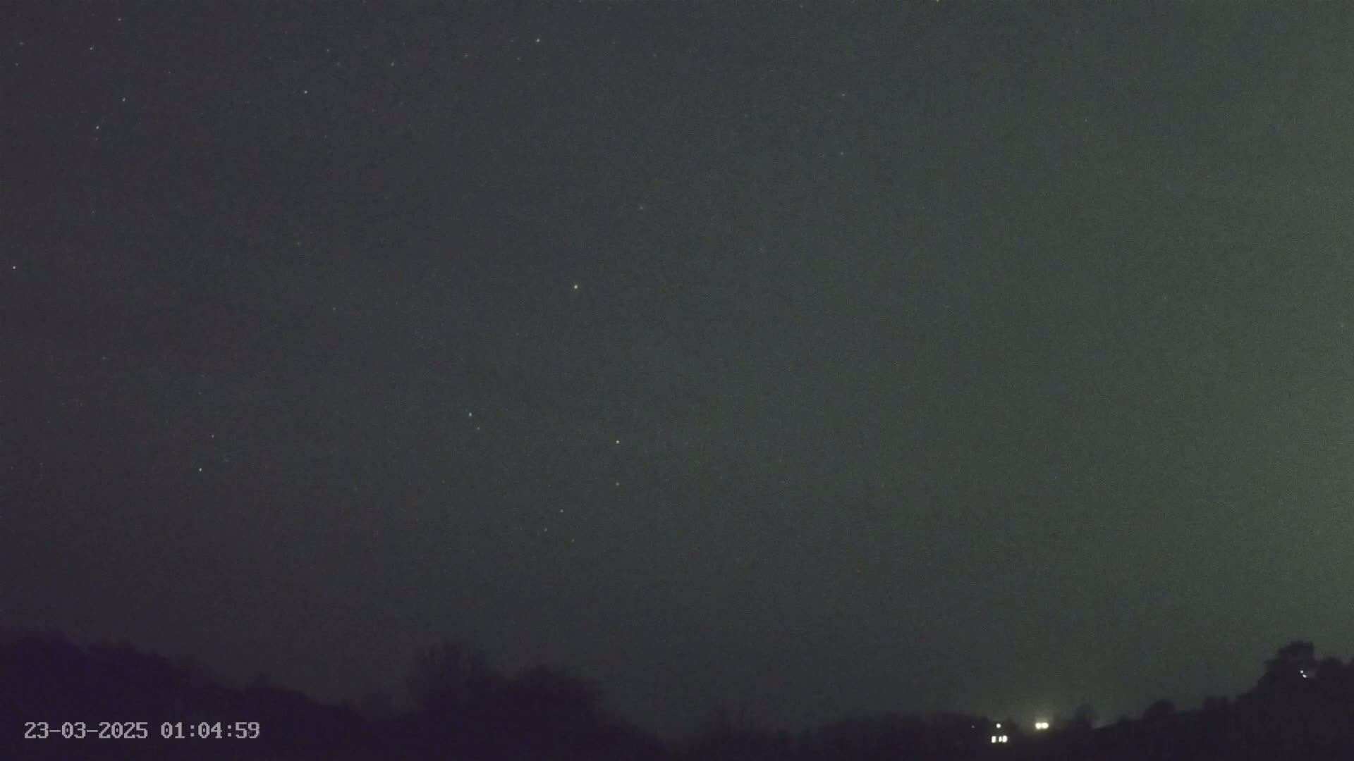 A night sky dotted with stars is visible above a dark, silhouetted treeline with faint lights in the distance.