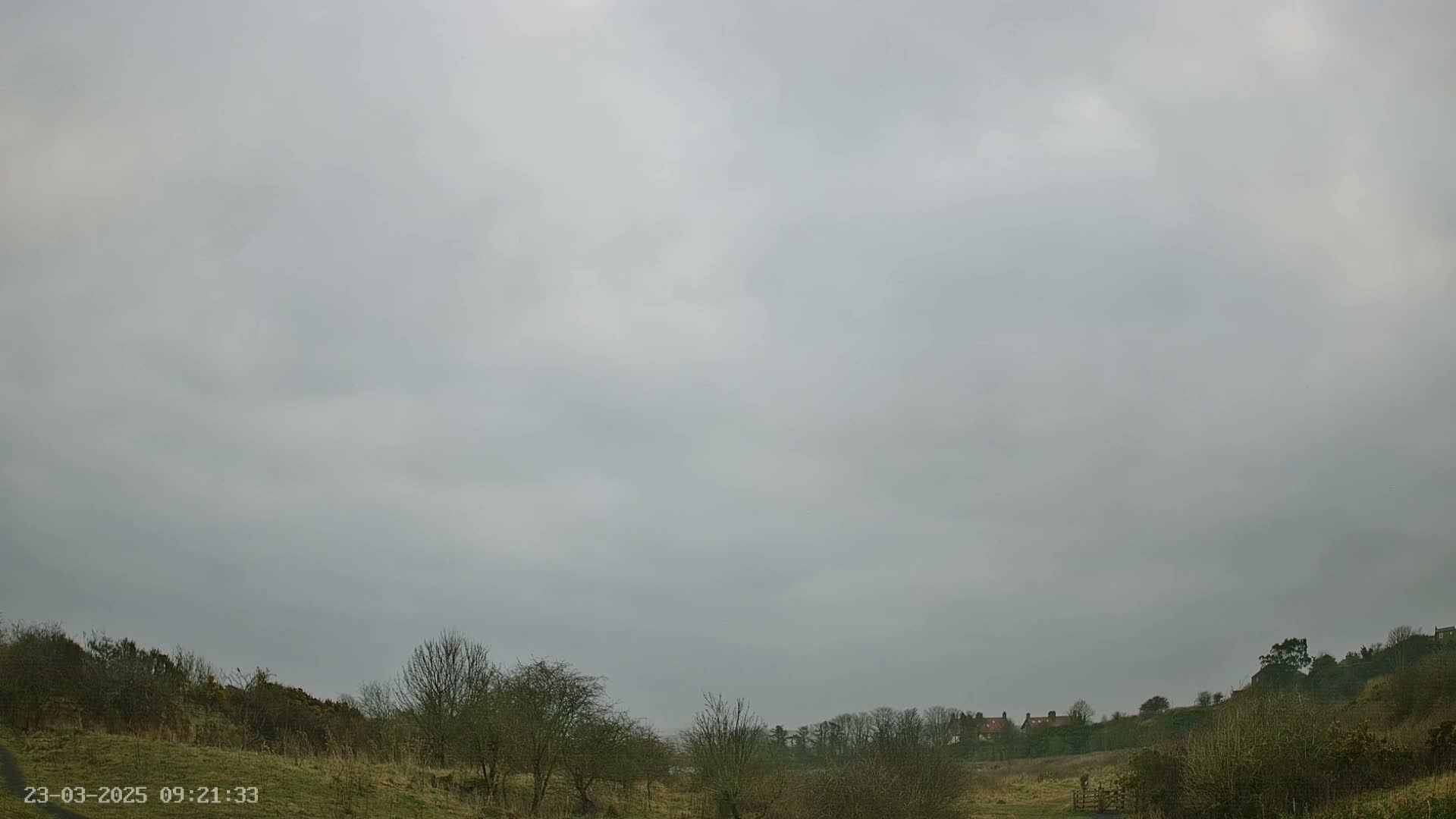 Under an overcast sky, a hilly landscape is sparsely dotted with leafless trees and shrubs.