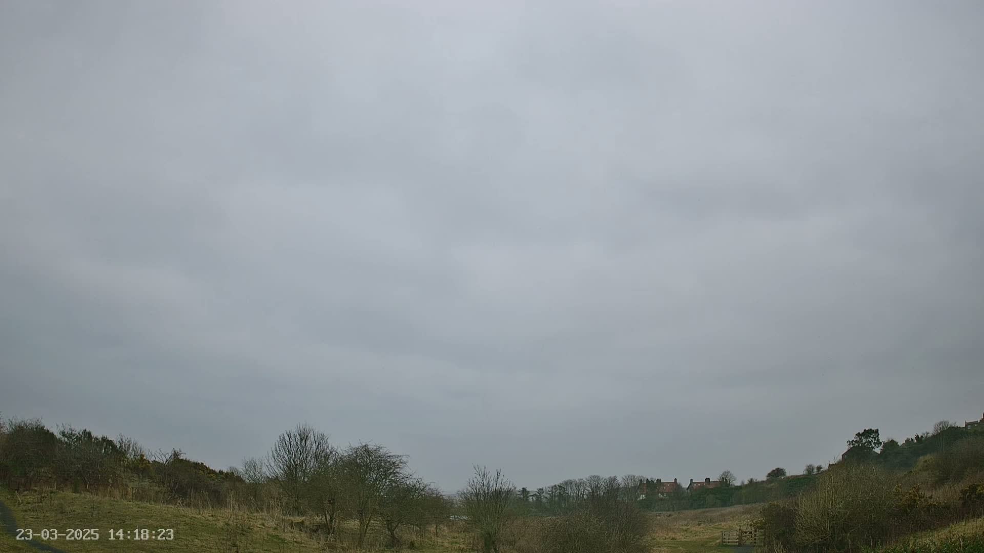 Under a mostly cloudy, overcast sky, a grassy field stretches toward a line of trees and houses on a distant hill.