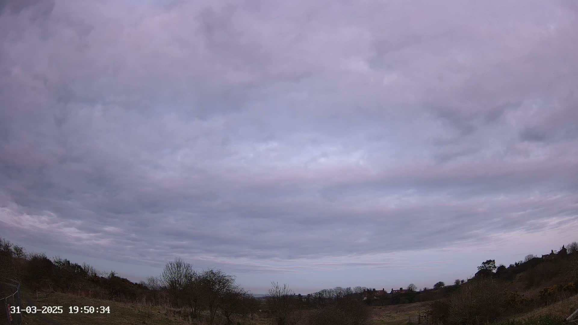 A mostly cloudy, dusky sky hangs over a sparsely vegetated landscape with a few distant houses visible on the horizon.