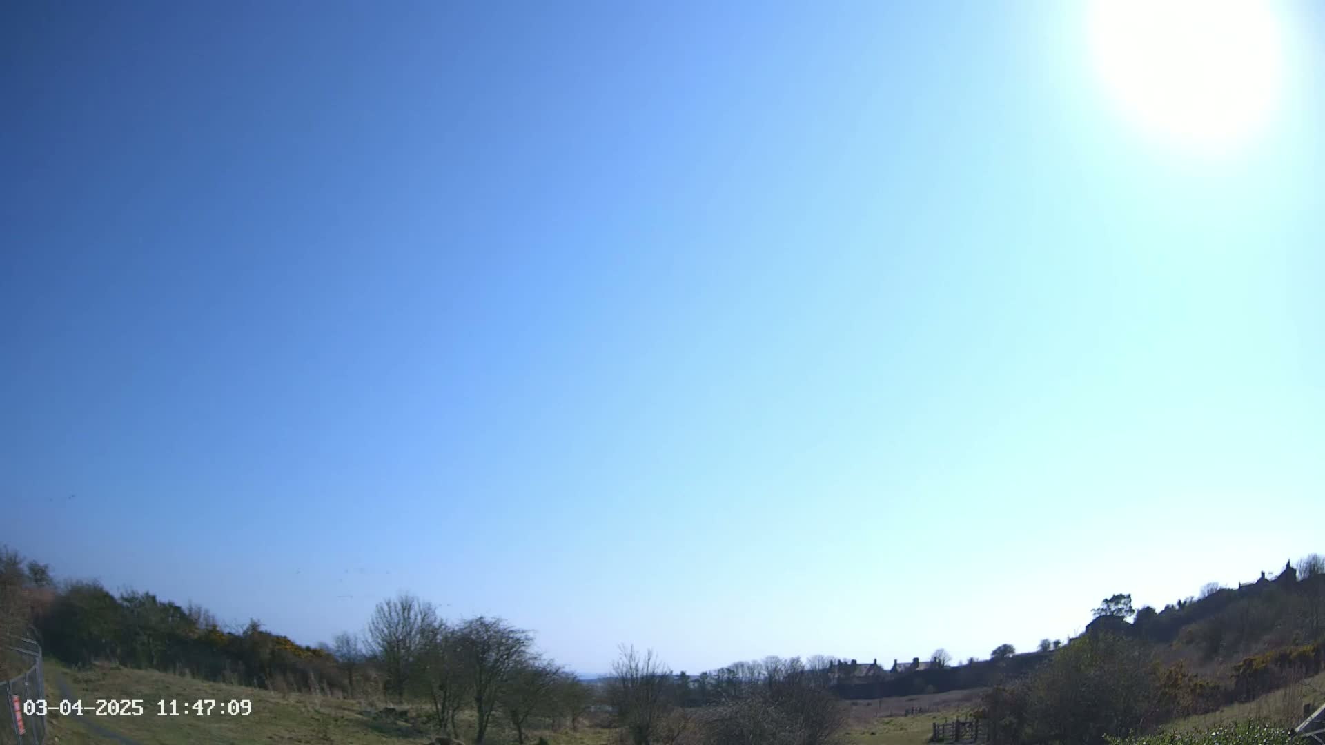 A sunny, clear blue sky overlooks a grassy field with scattered trees and distant buildings.