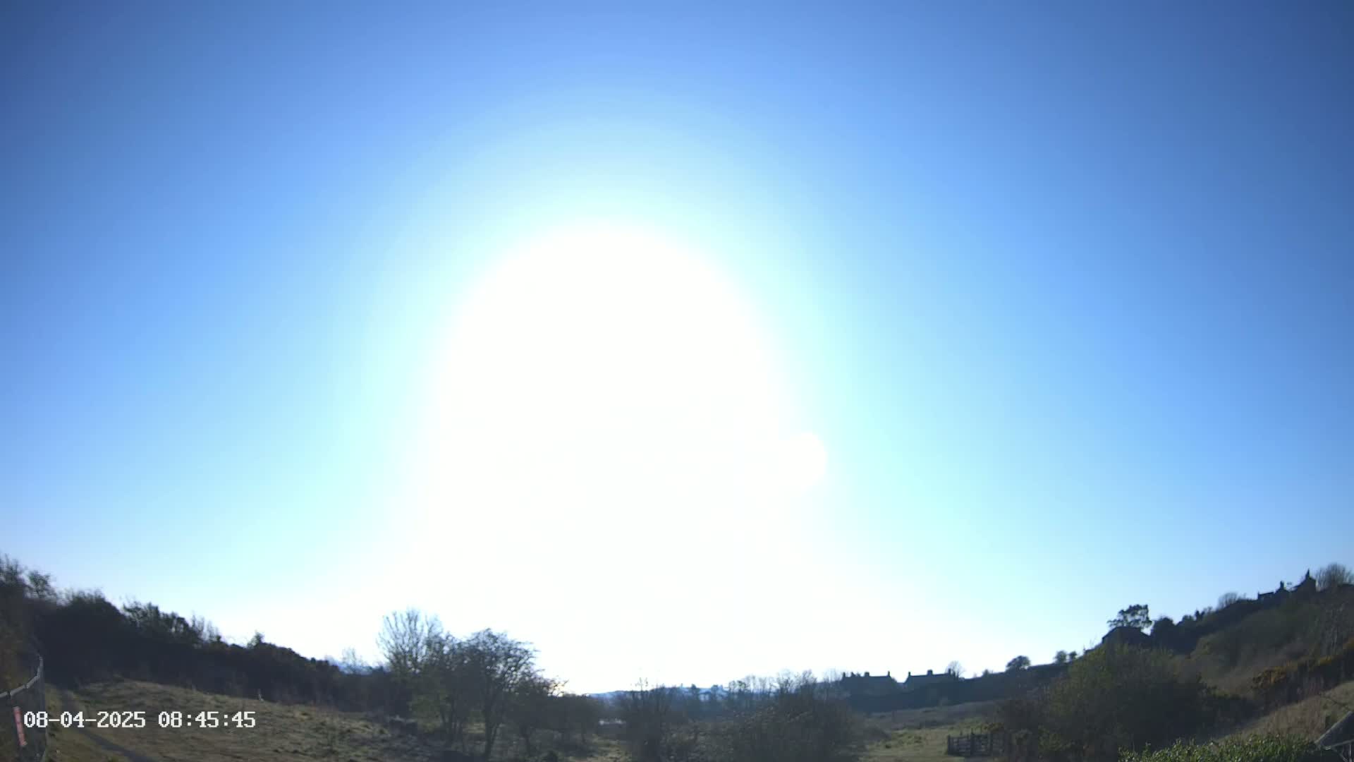 A bright sun shines in a clear blue sky over a grassy field with some shrubs and trees, and a distant line of houses on a hill.