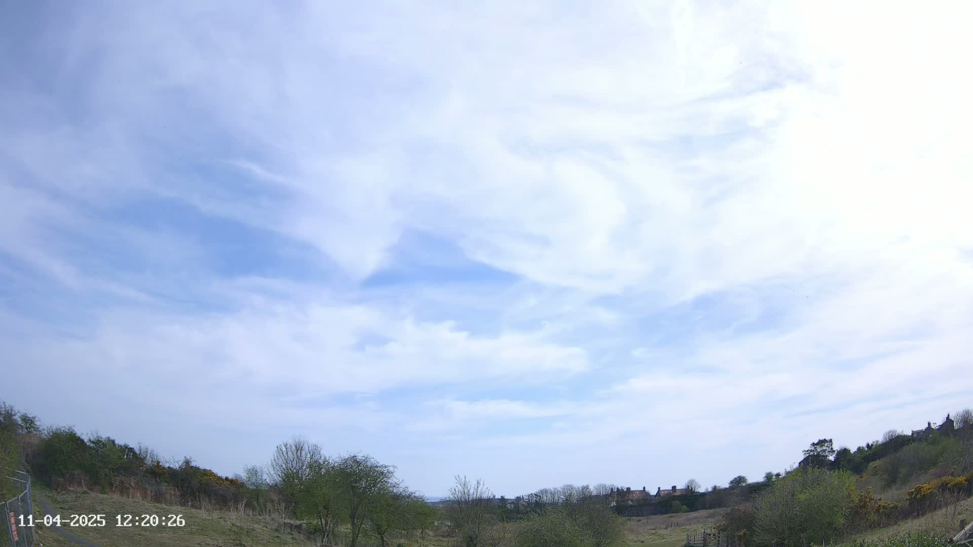 A mostly sunny sky with wispy clouds hangs above a gently sloping field with low-lying bushes and trees.