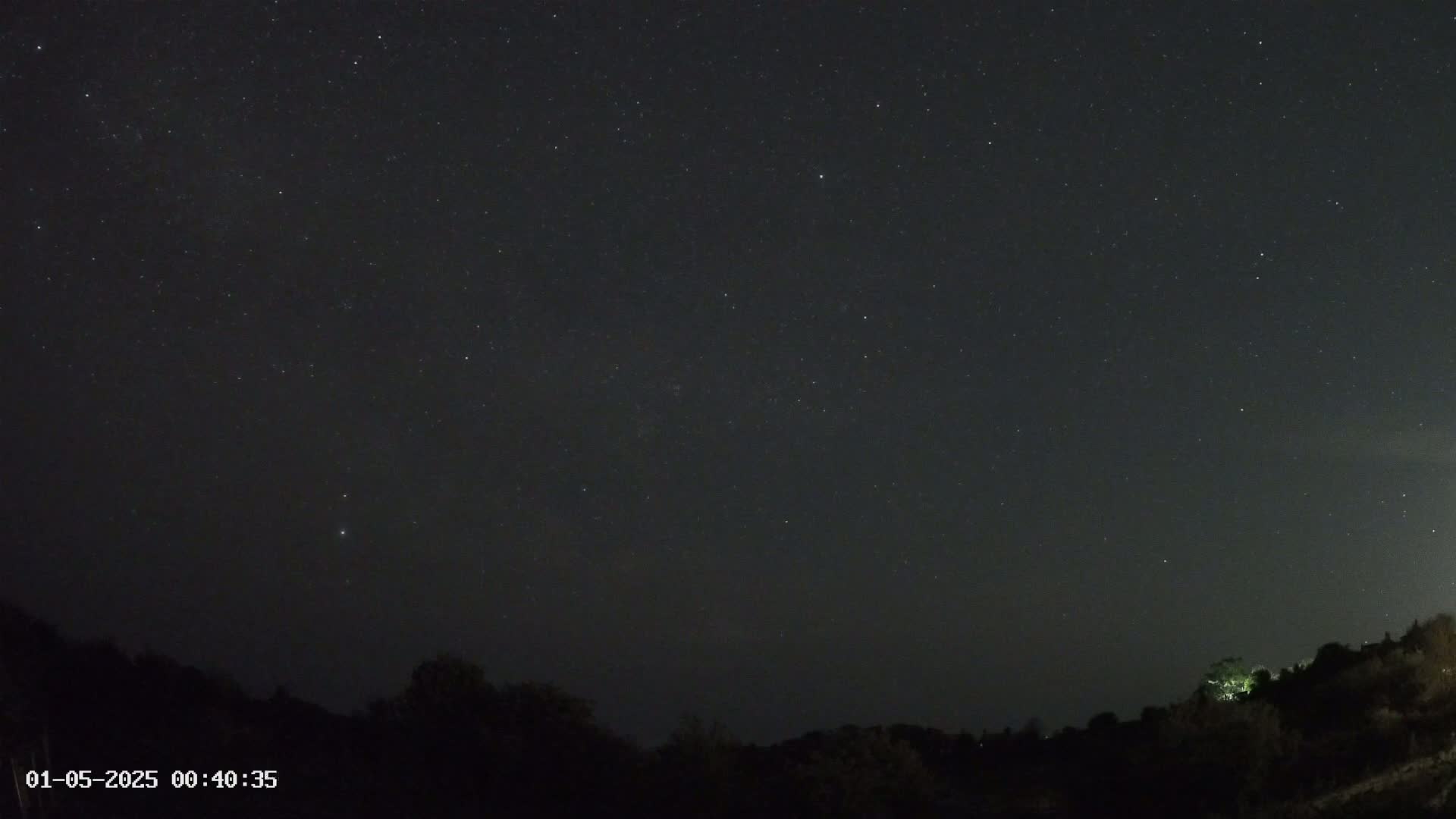 A dark, star-filled night sky is visible above a silhouetted line of trees and hills.