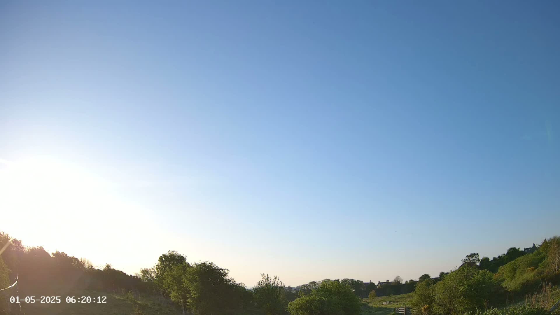 A clear blue sky brightens a landscape of green shrubs and trees, with a few distant houses visible on a hill in the background.