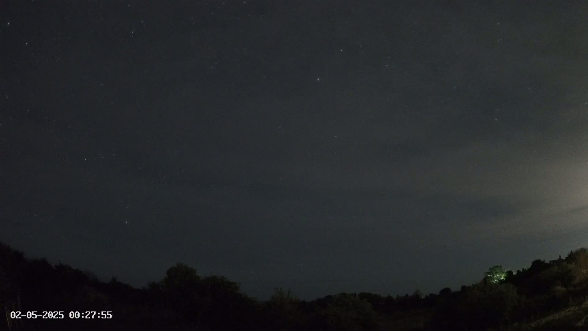 A nighttime scene shows a dark sky speckled with stars above a low, dark horizon line of trees.