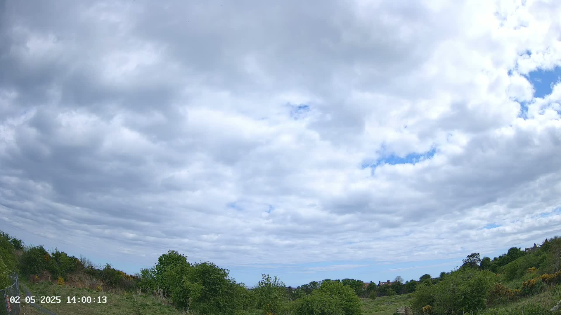 A mostly cloudy sky overlooks a grassy field bordered by lush green trees and shrubs.