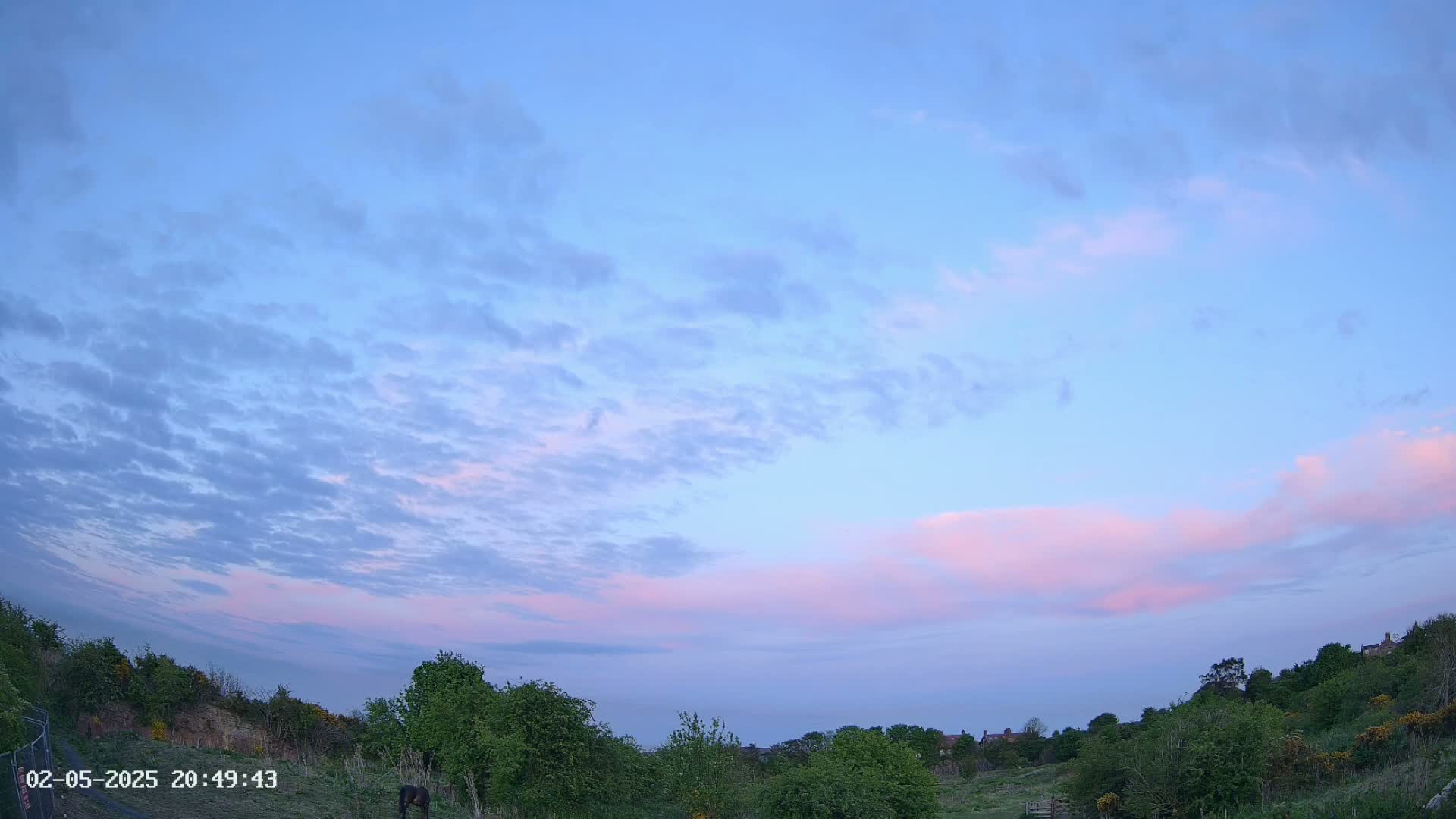 A pastel-pink and blue twilight sky over a gently rolling landscape of green trees and shrubs.