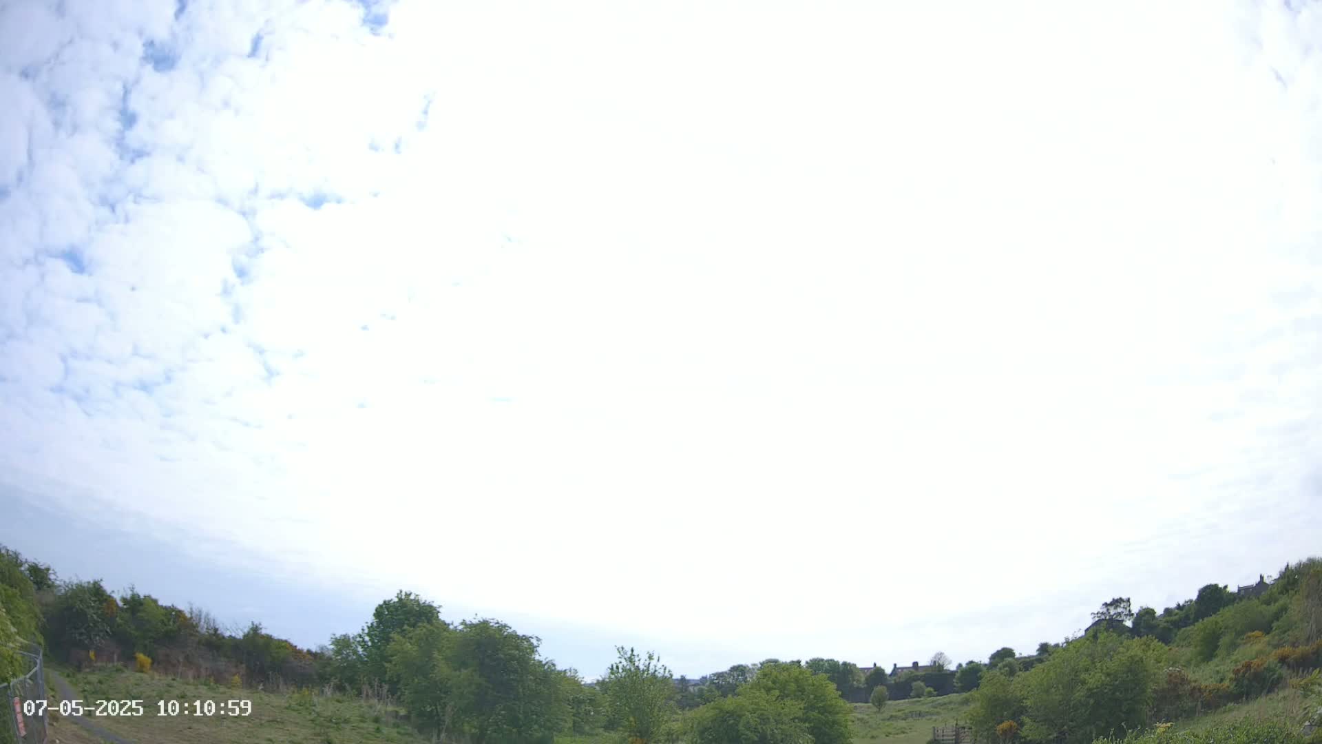 A mostly sunny day with scattered clouds over a grassy hillside dotted with green trees and shrubs, a few buildings visible in the distance.