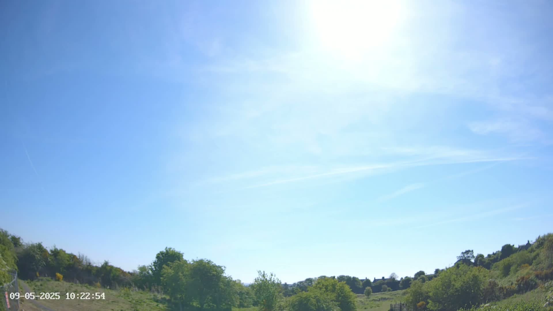 A sunny day with a mostly clear blue sky shows a verdant hillside with low-lying shrubs and trees.