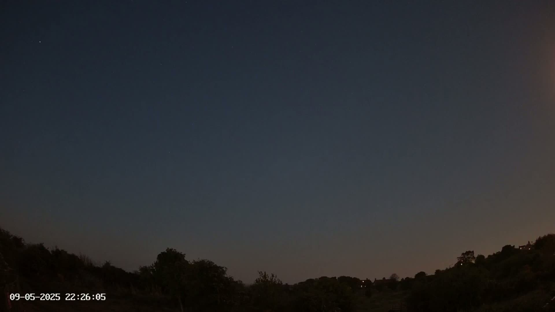 A dark, clear night sky is visible above a silhouetted line of trees and distant lights on a hill.