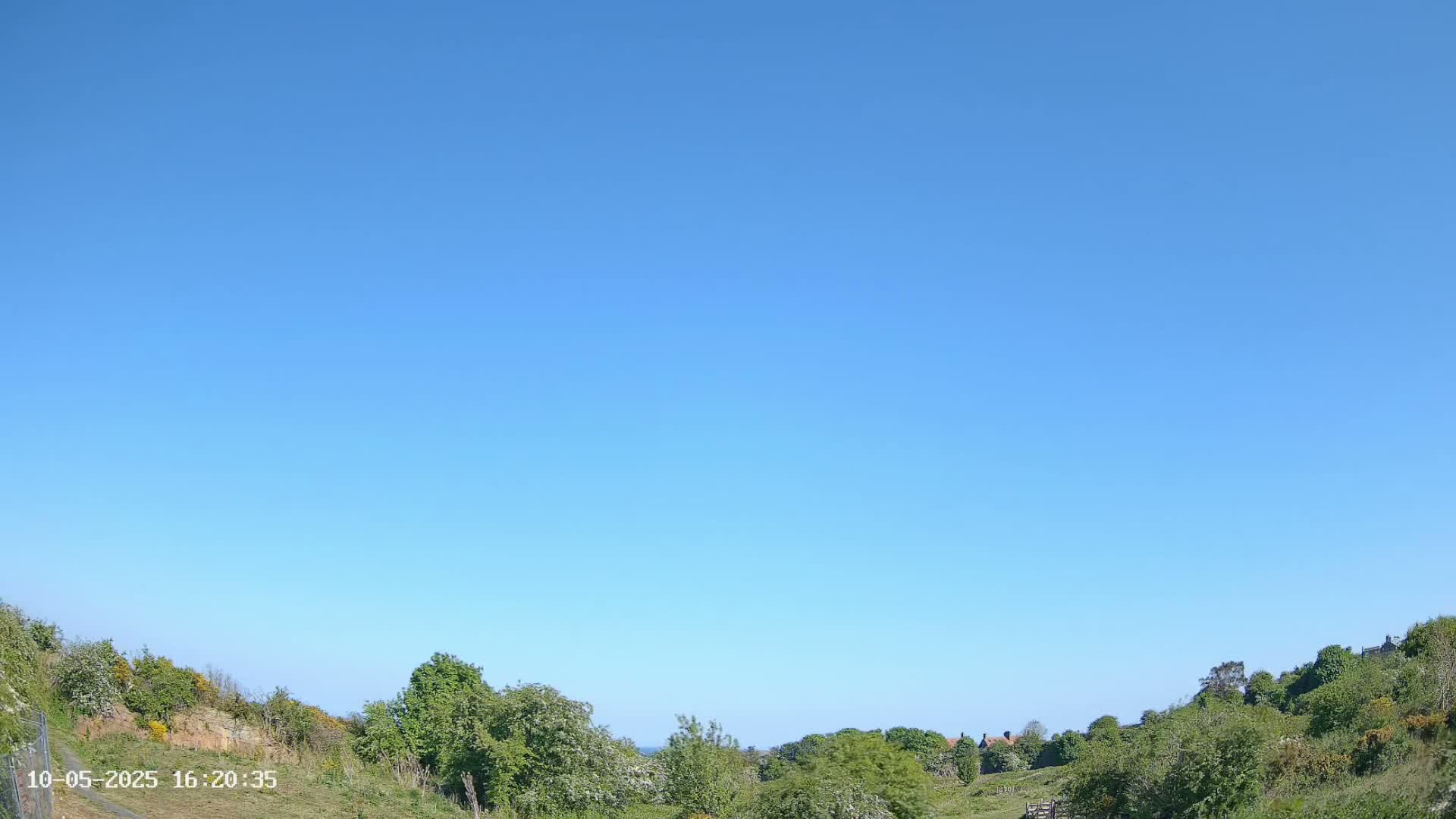 Under a clear blue sky, green hills covered with shrubs and trees gently slope downward.