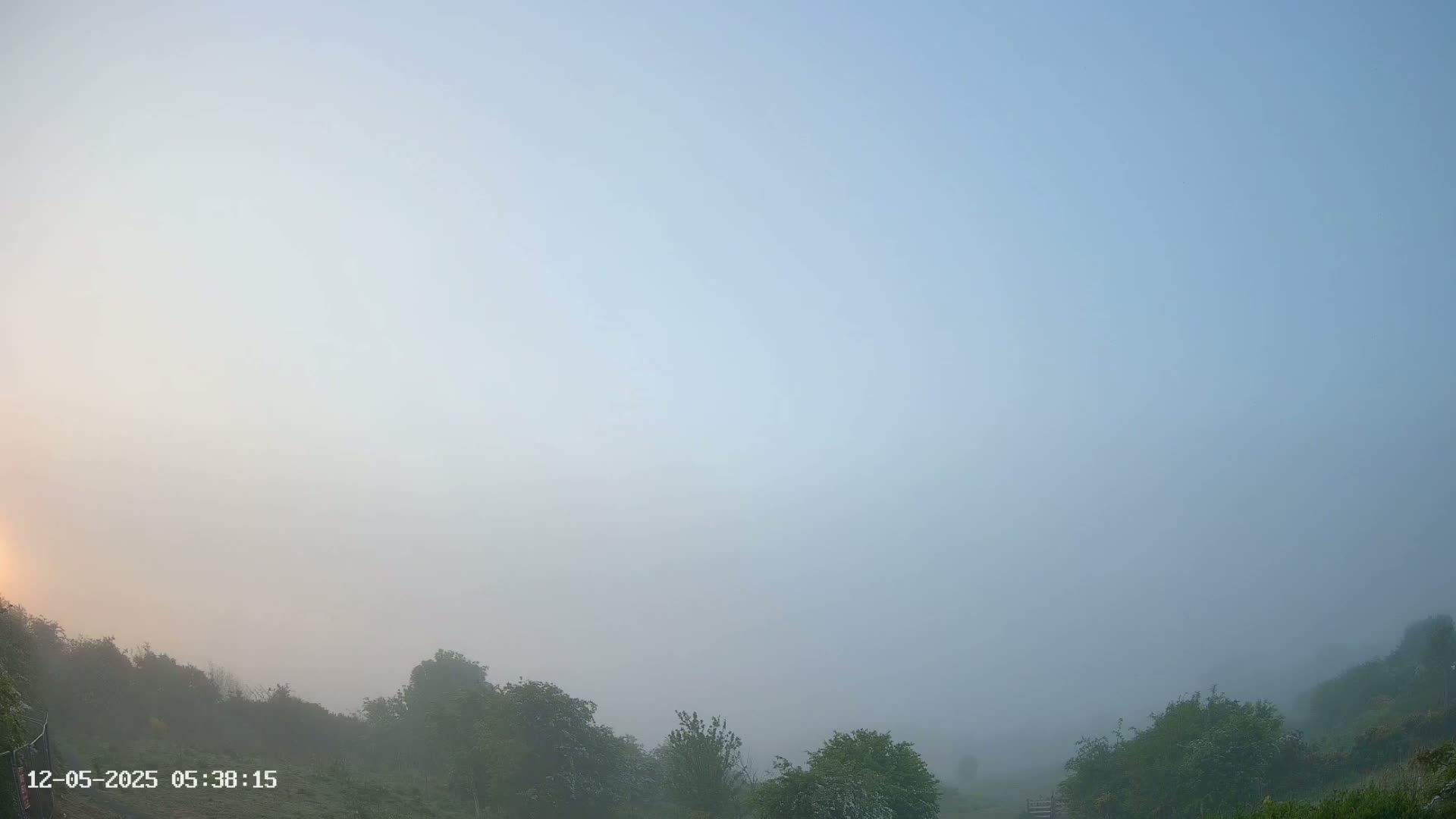 A foggy sunrise illuminates low-lying green vegetation.