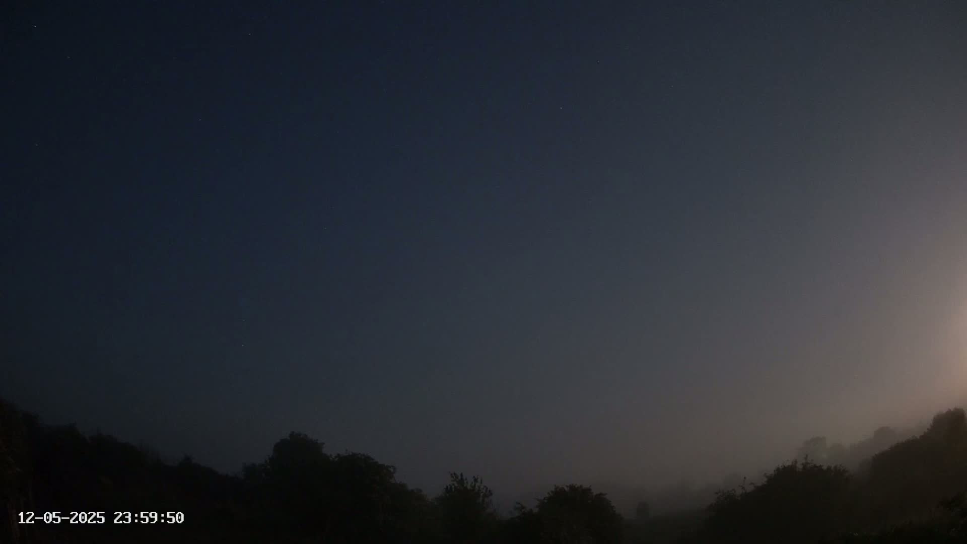 A low-lying fog obscures a line of dark trees under a twilight sky.