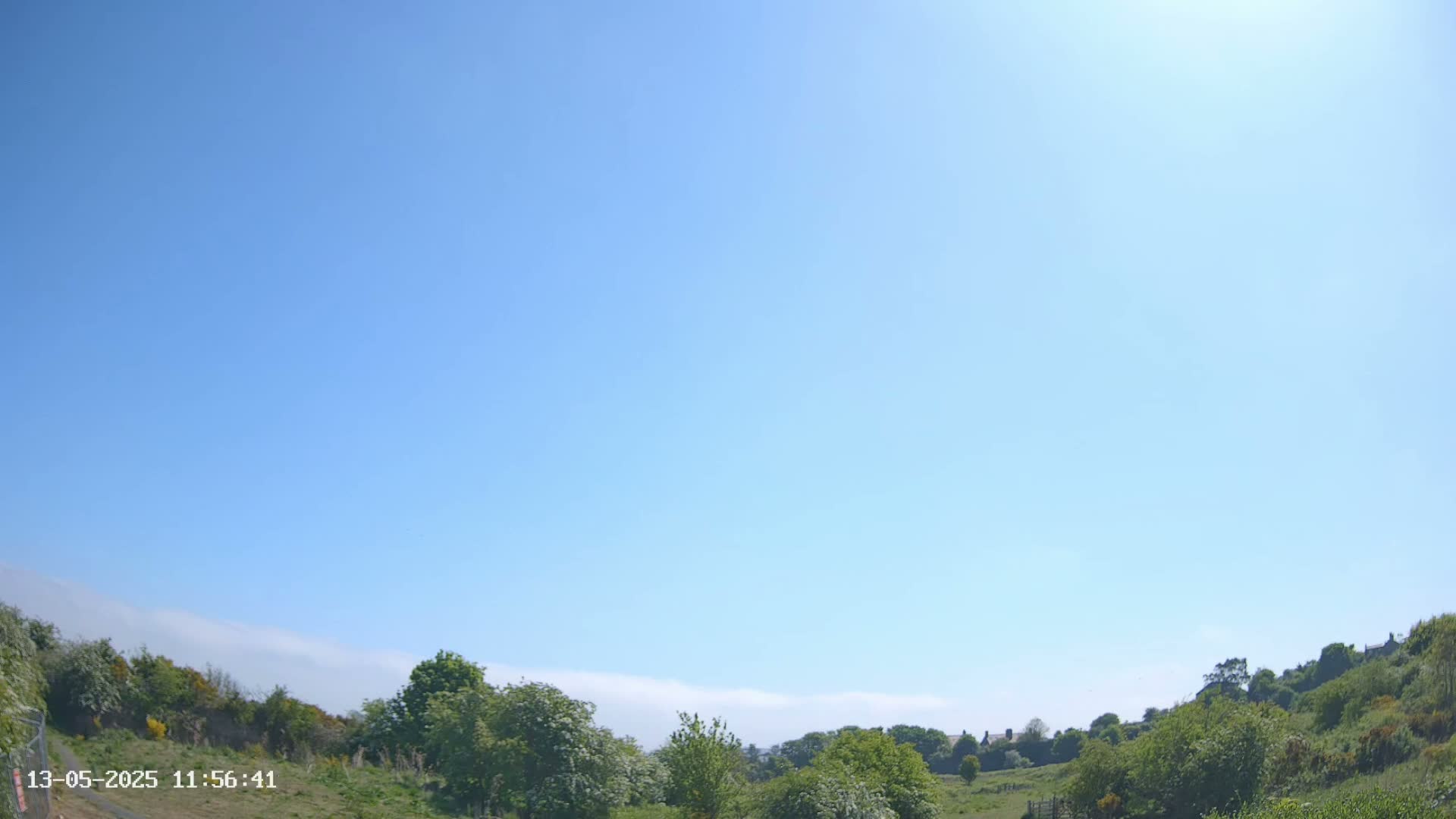 Under a clear blue sky, lush green vegetation covers a gently sloping hill.