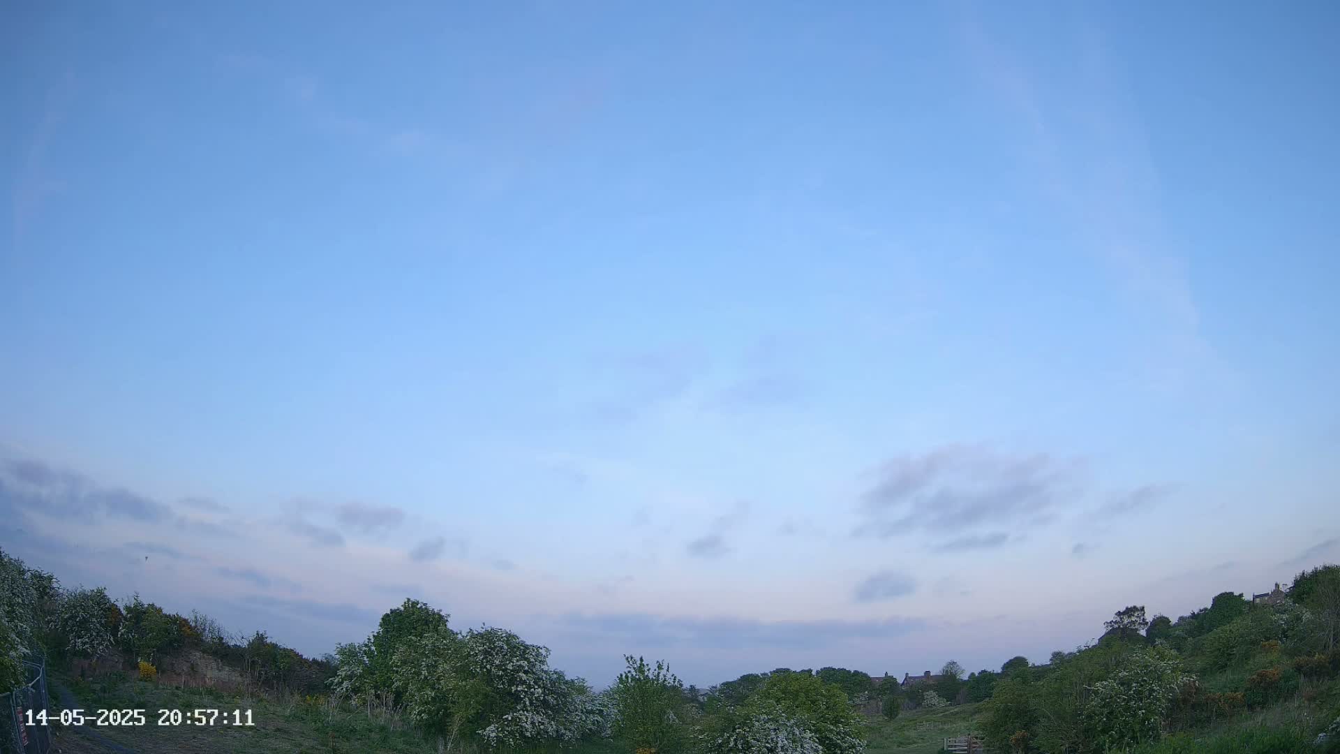 A mostly clear, twilight sky above a landscape of green bushes and trees.
