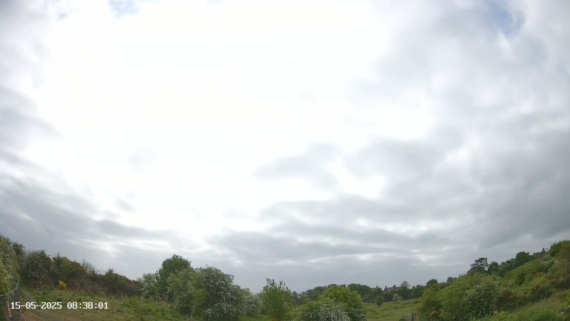 A mostly cloudy sky hangs over a gently sloping, green hill covered in low-lying shrubs and trees.