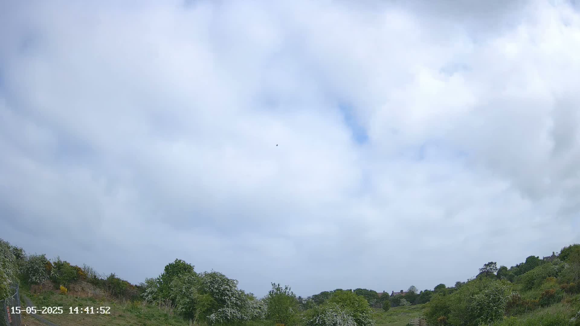 A mostly cloudy sky hangs over a gently sloping hillside covered in green vegetation, with a few buildings visible in the distance.