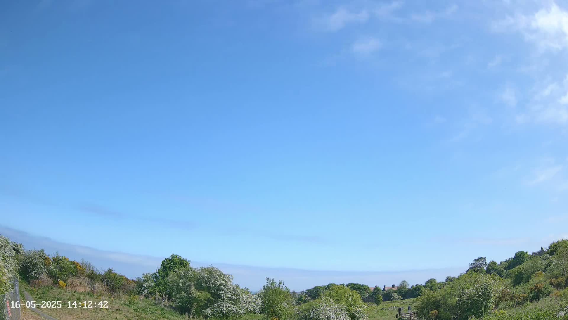 A mostly clear blue sky overlooks a gently sloping landscape of green vegetation, some flowering bushes, and a few distant buildings.