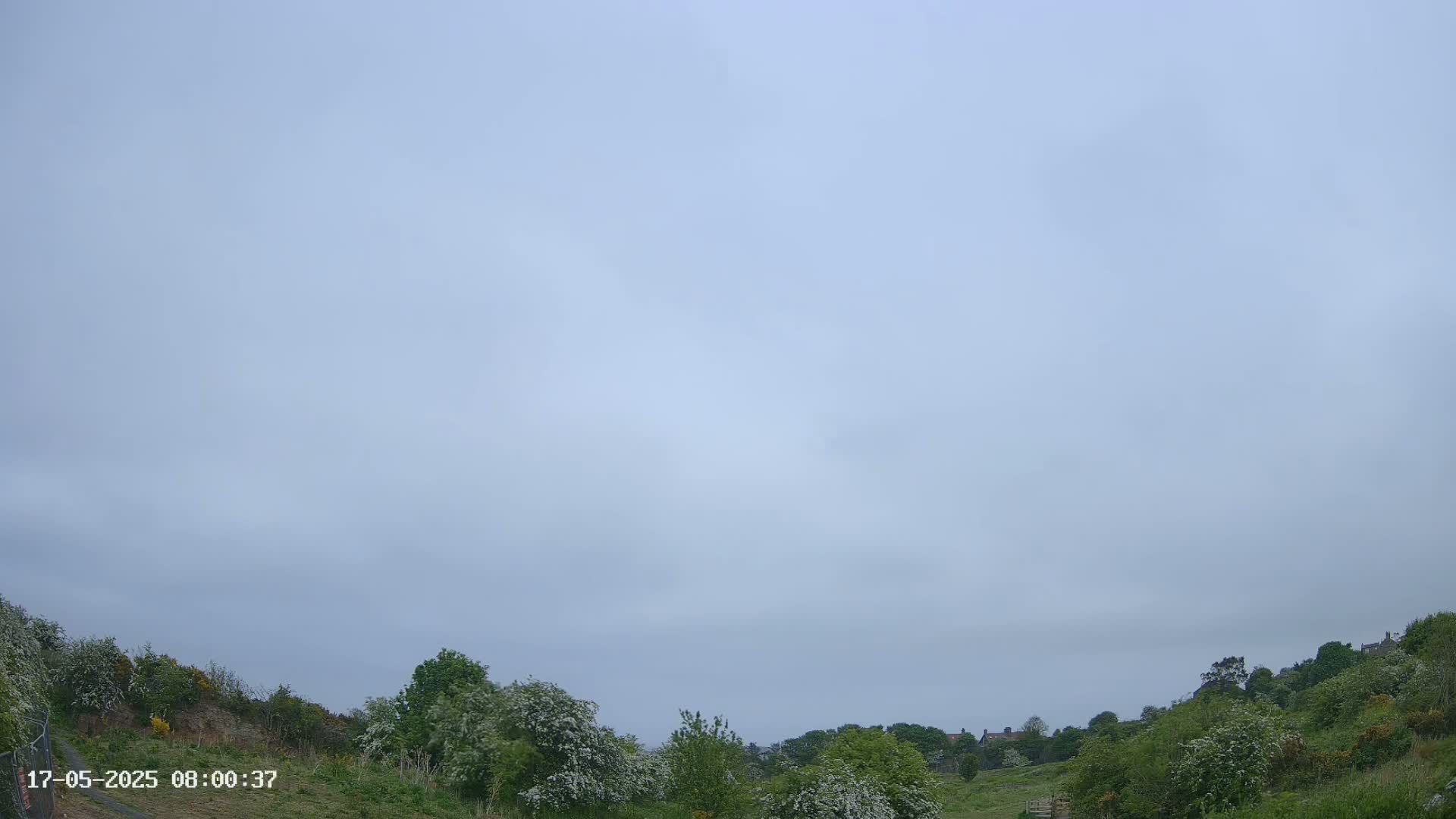 Under a mostly cloudy sky, green hills dotted with flowering bushes and a few houses are visible in the distance.