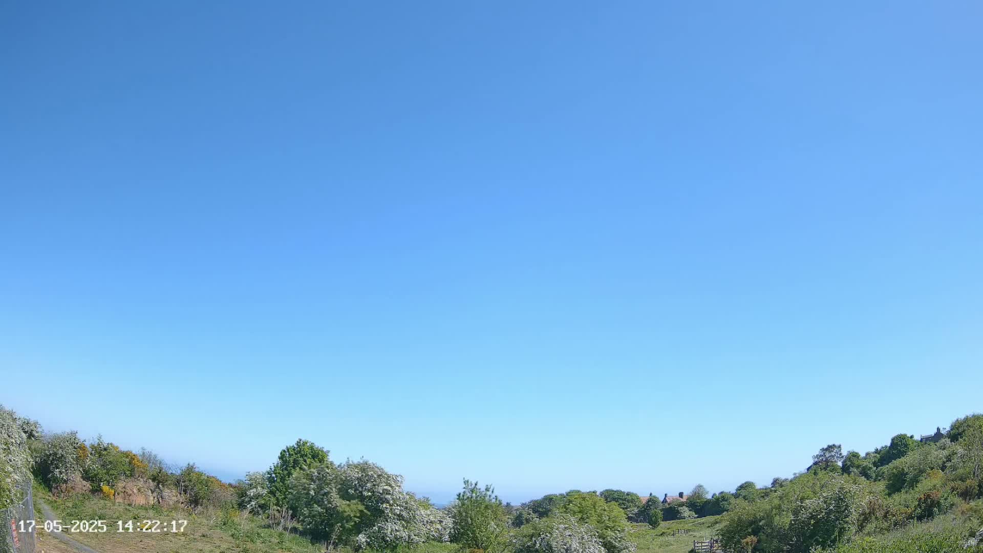 Under a clear blue sky, green hills dotted with trees and shrubs slope down to a distant ocean horizon.