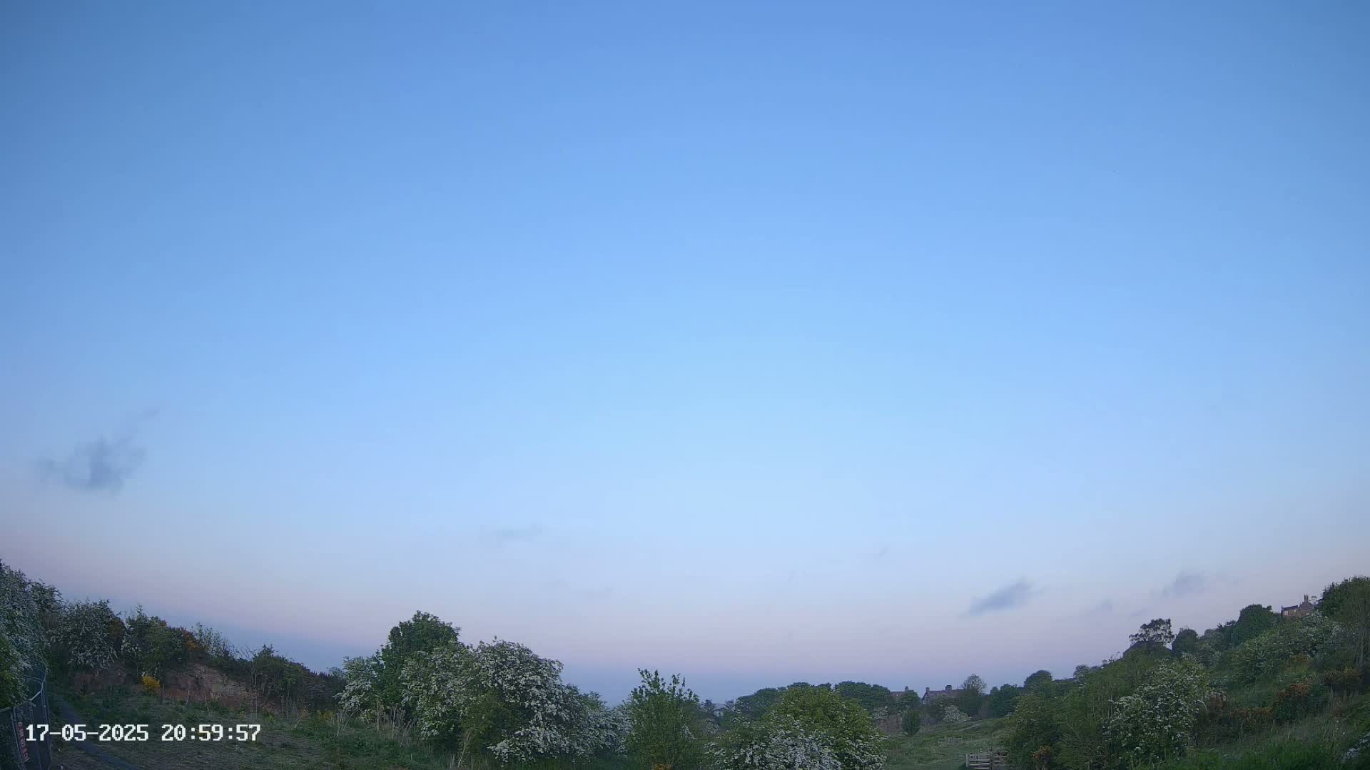 Under a mostly clear, light-blue twilight sky, green vegetation with some flowering bushes and trees occupies the lower portion of the frame, leading to a distant line of houses.