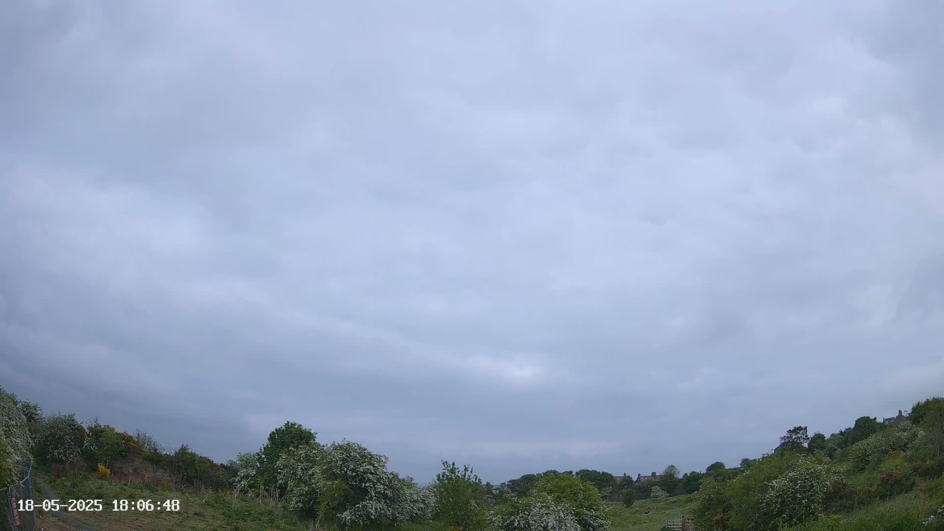A mostly cloudy sky overlooks a grassy hill dotted with flowering bushes and trees, with some houses visible in the distance.