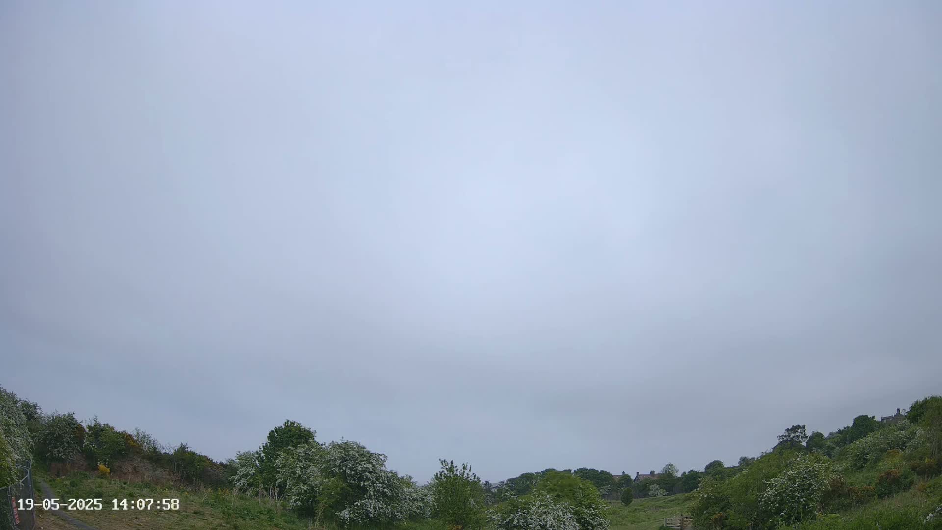 Under an overcast sky, green hills covered in blossoming shrubs and trees slope gently upward.