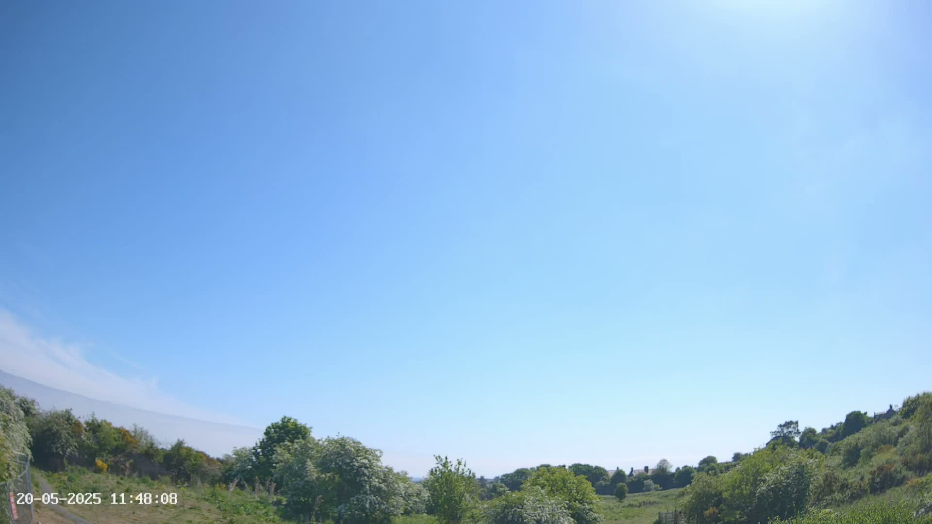 Under a clear blue sky, a grassy field is surrounded by lush green vegetation and trees.