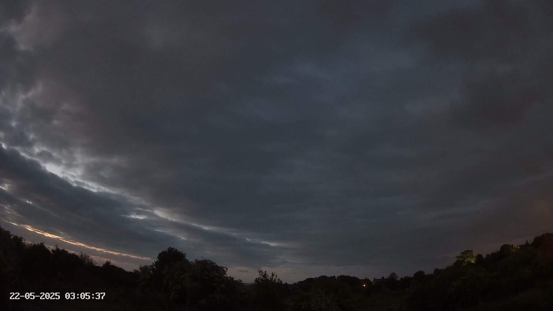 A dark, cloudy, pre-dawn sky hangs over a silhouetted line of trees and shrubs.