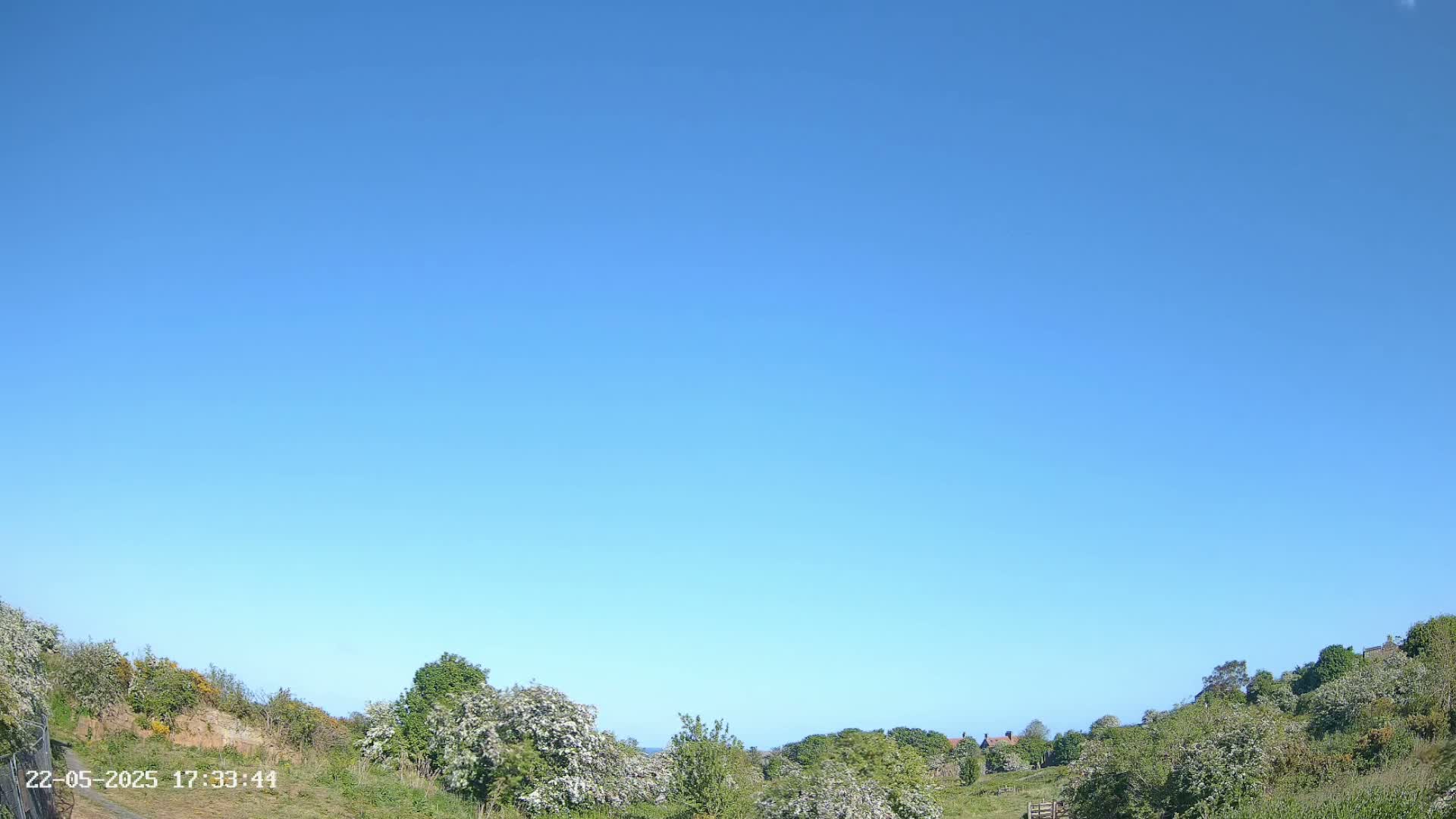 Under a clear blue sky, green hills covered with flowering bushes and trees gently slope down towards a distant horizon.