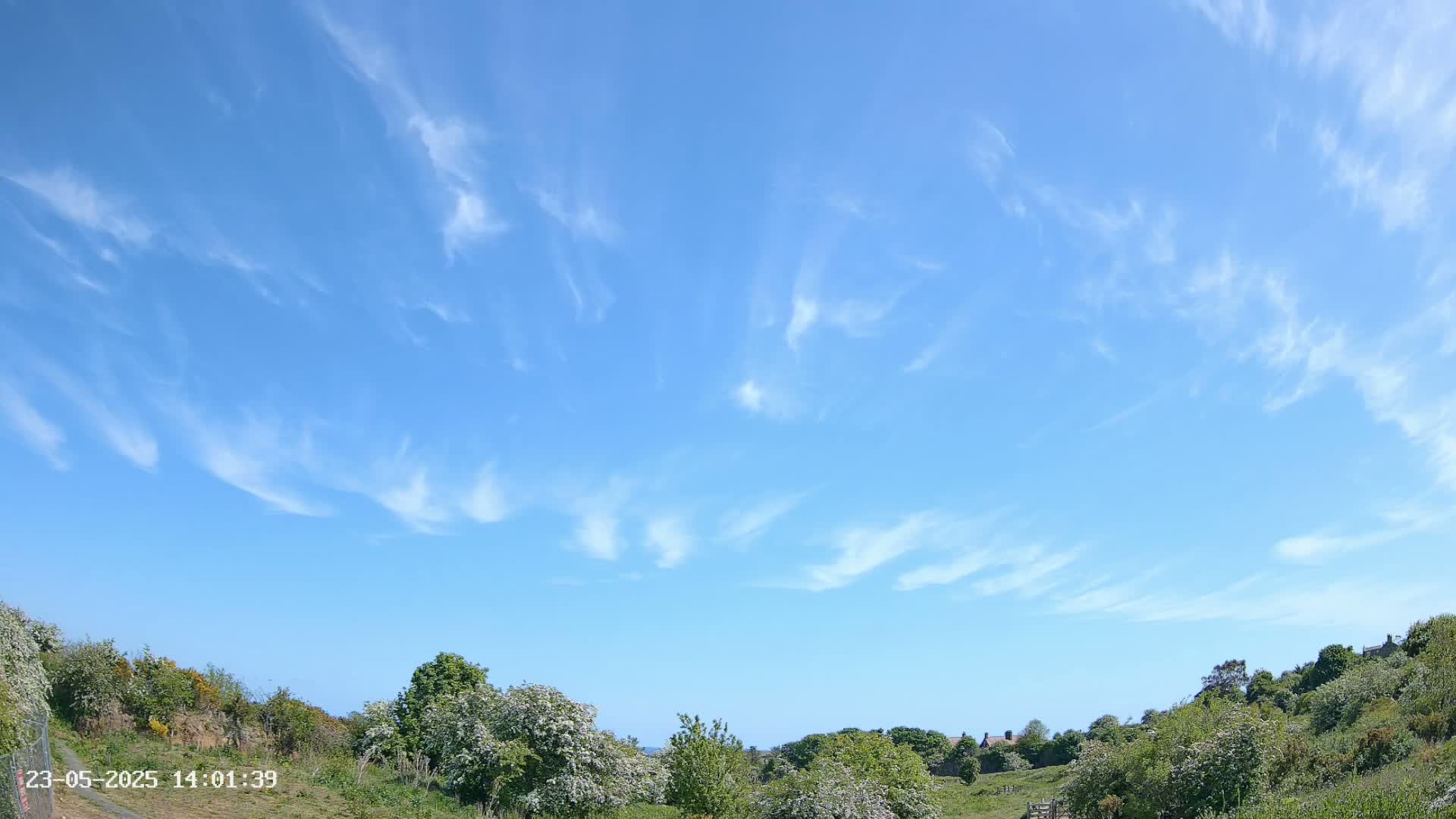A mostly sunny sky with wispy cirrus clouds above a gently sloping landscape of green bushes and trees.