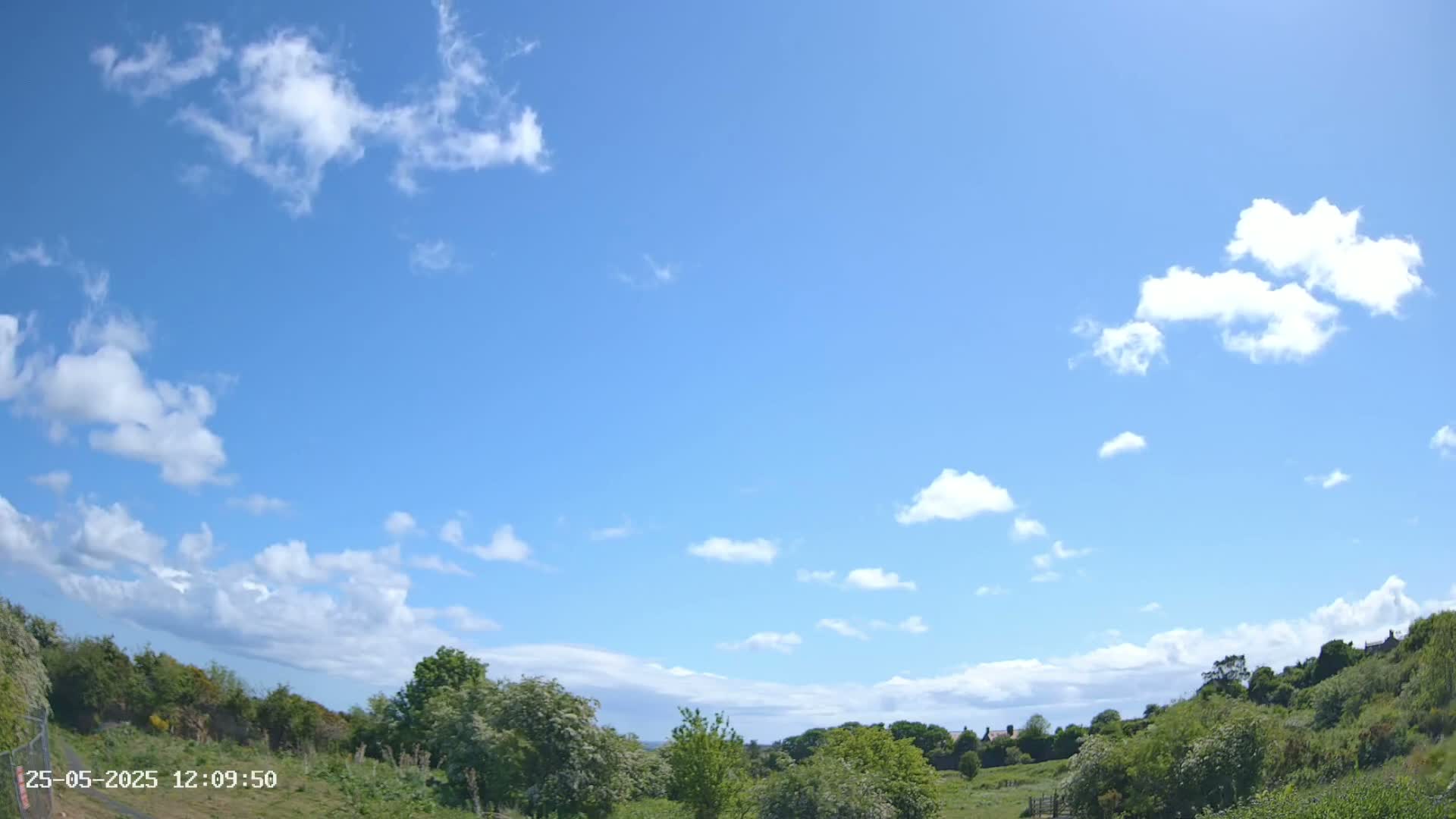 A mostly sunny sky with scattered cumulus clouds overlooks a verdant landscape of low-lying green shrubs and trees.