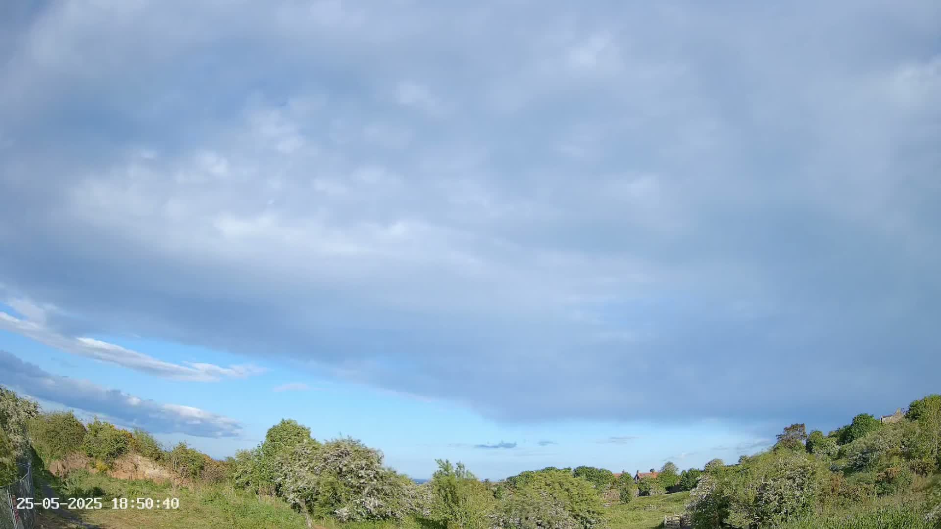 Under a partly cloudy sky, green hills dotted with trees and shrubs stretch across a landscape.