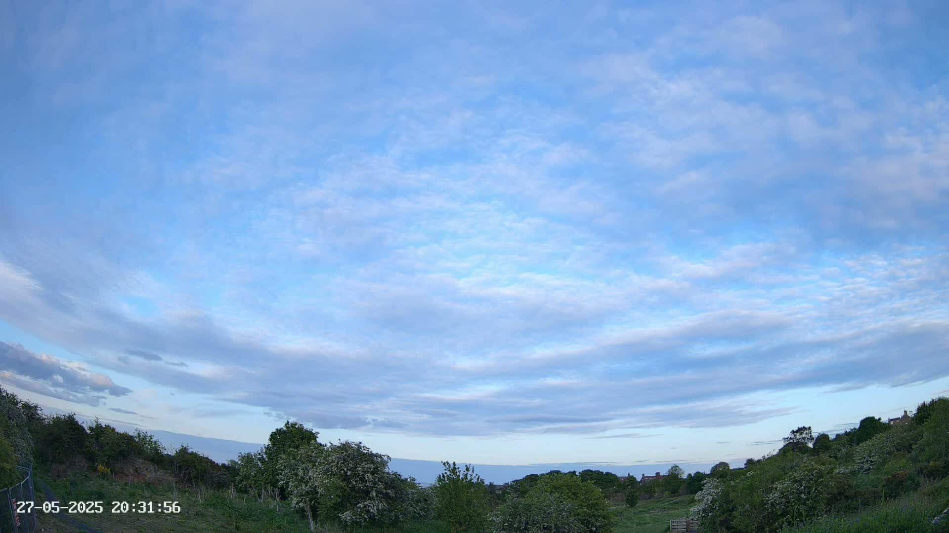 A mostly clear, light-blue sky with thin, wispy clouds over a gently sloping field with green trees and shrubs.