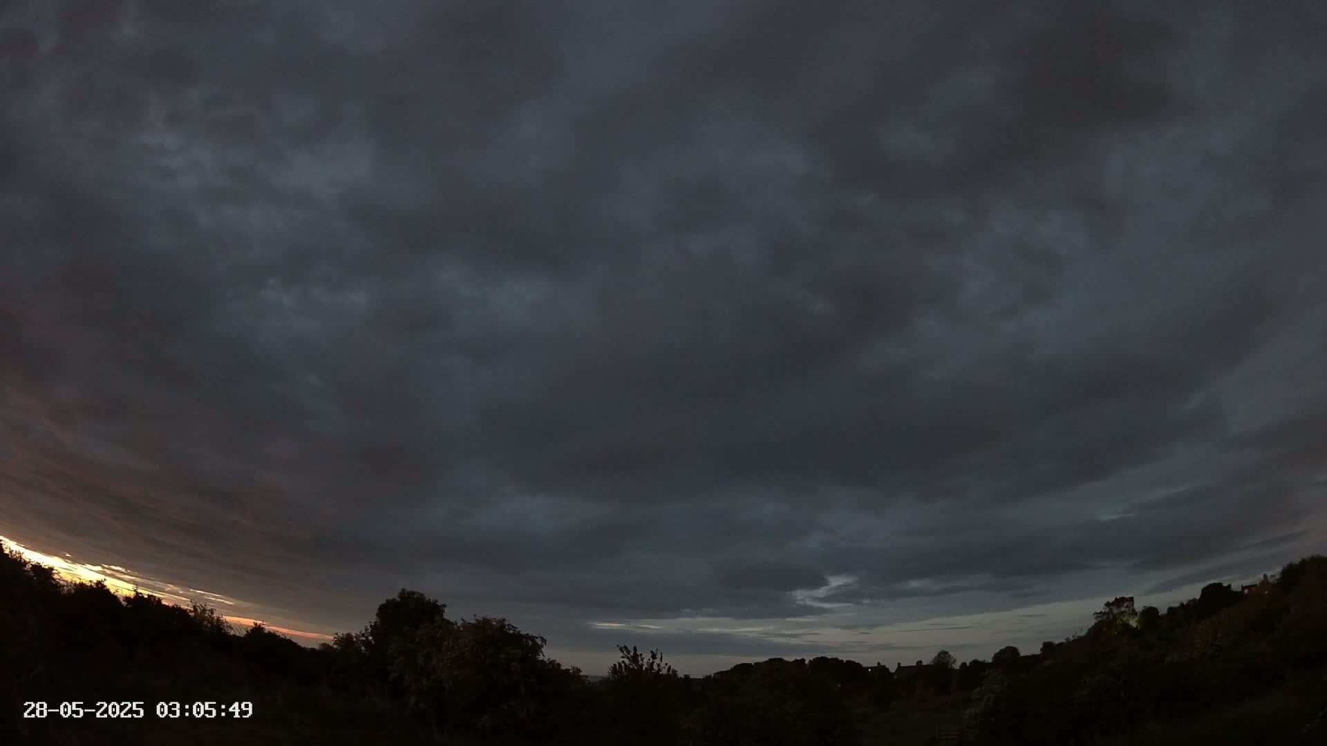 A mostly cloudy, dark sky with a hint of sunrise or sunset on the horizon, above a silhouetted line of trees and vegetation.