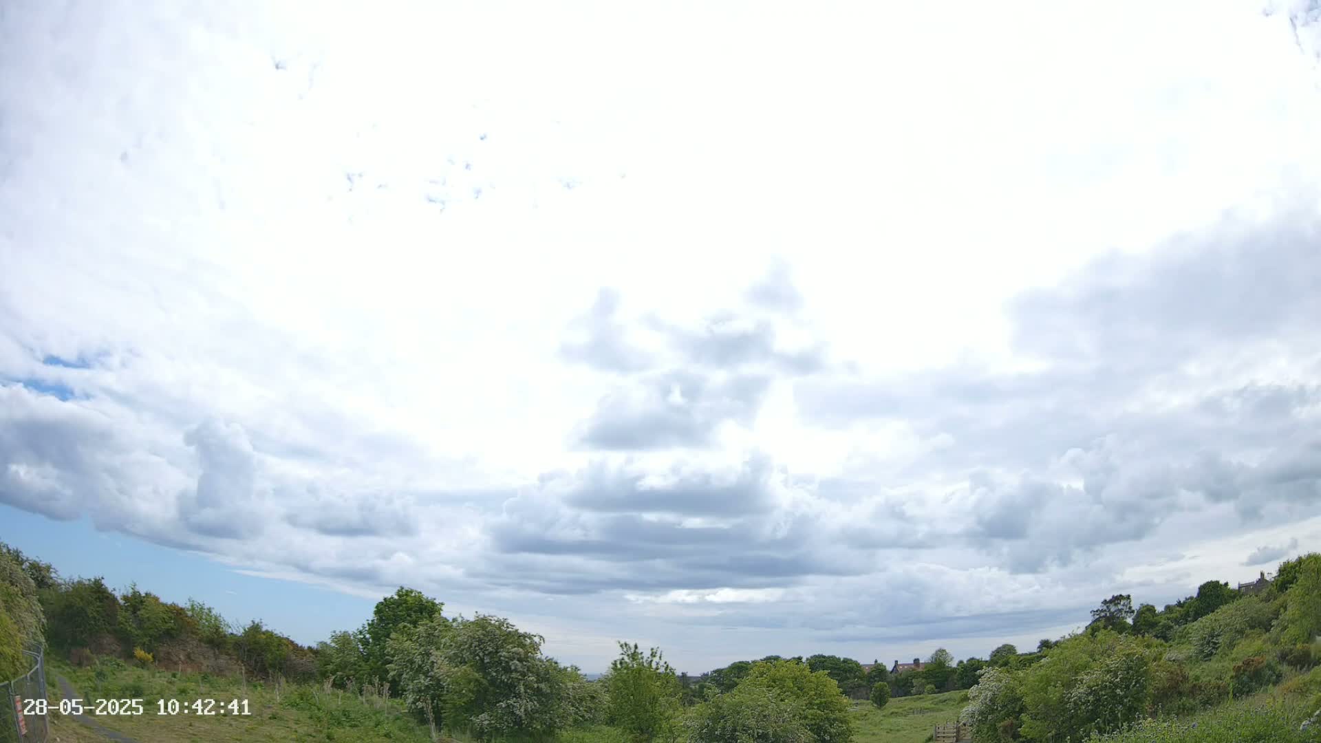 A partly cloudy sky overlooks a grassy field bordered by lush green vegetation.