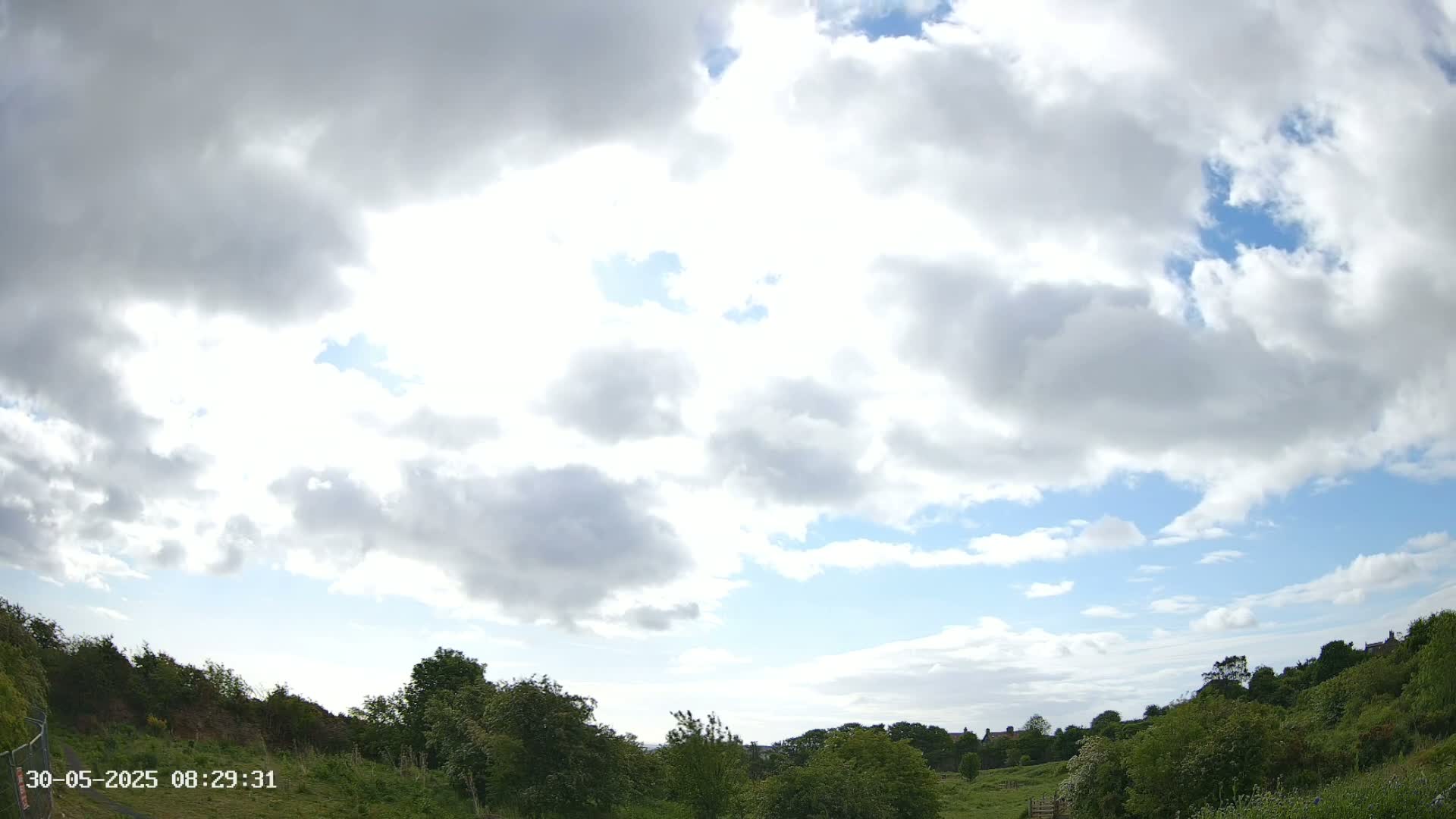 A partly cloudy sky overlooks a grassy field bordered by lush green trees and shrubs.