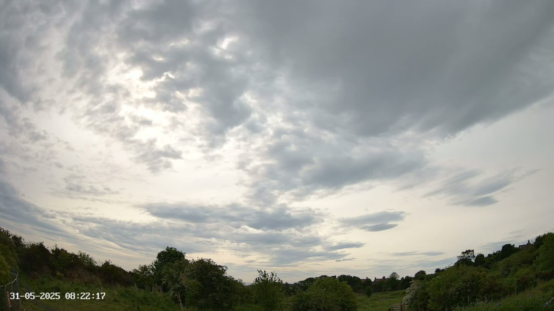 A mostly cloudy sky hangs over a field of green vegetation and distant buildings.