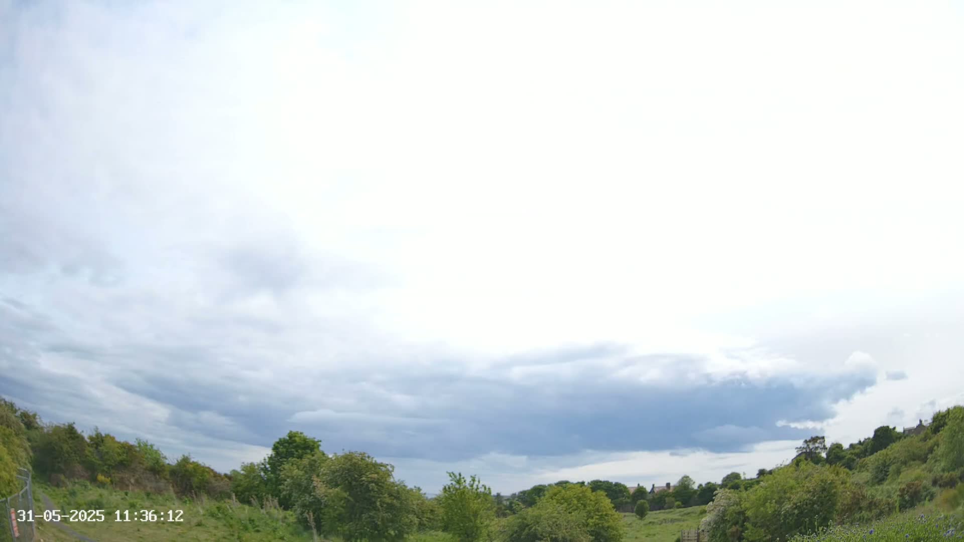 A mostly cloudy sky hangs over a green, hilly landscape with some shrubs and trees.